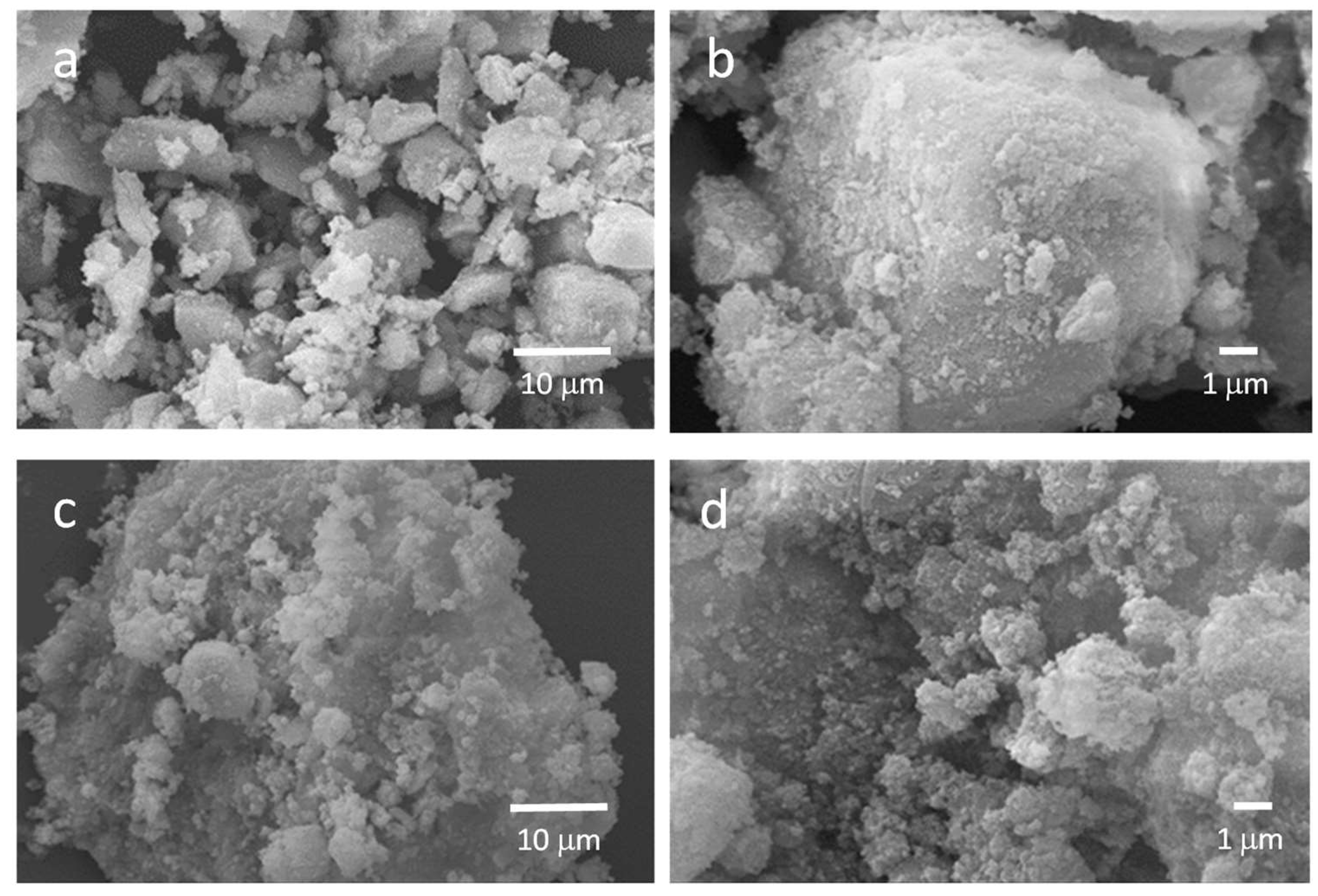 Molecules 28 04035 g005