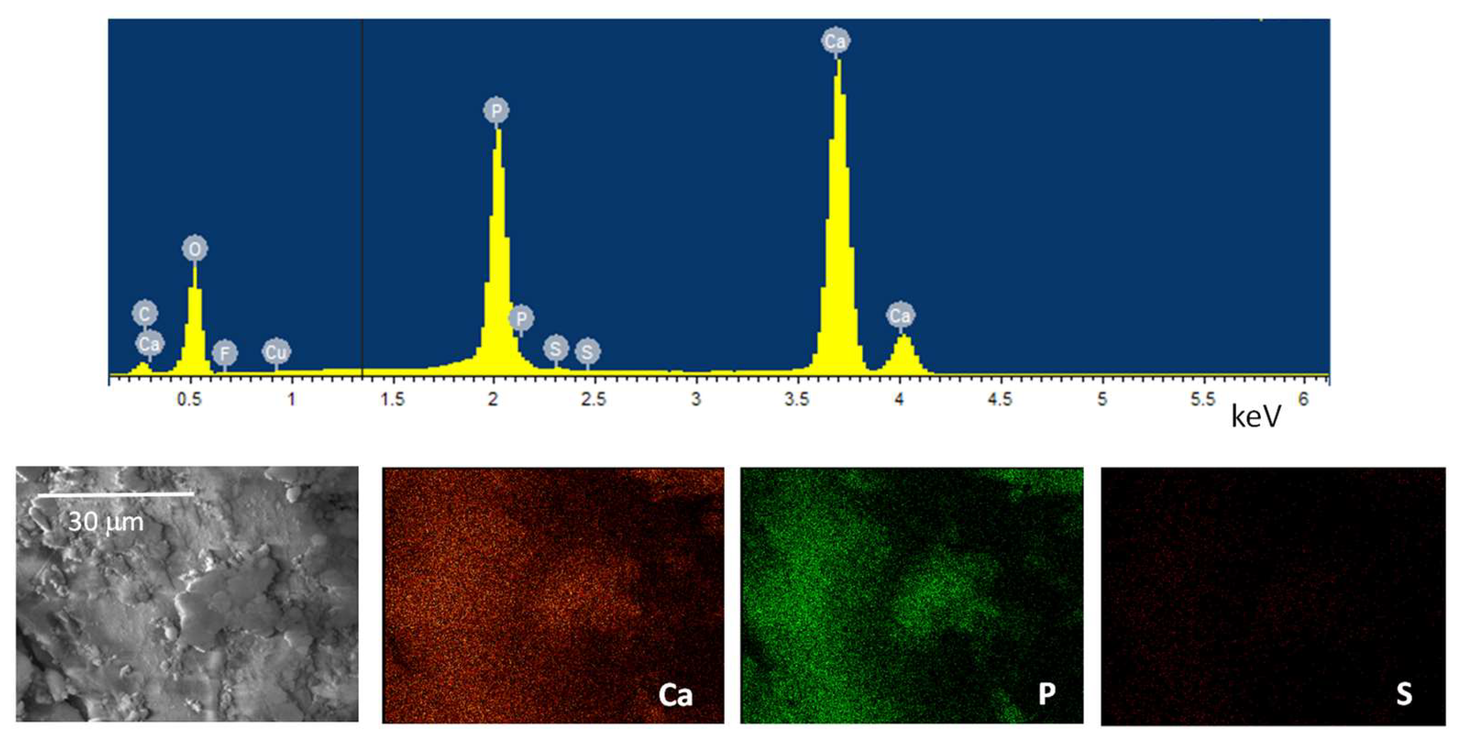 Molecules 28 04035 g006