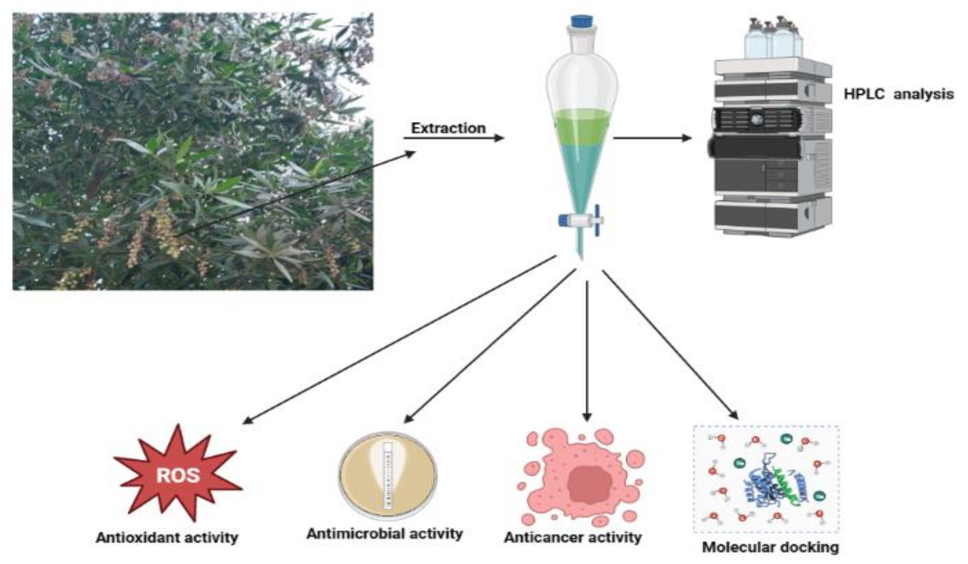 Molecules 28 04041 g001