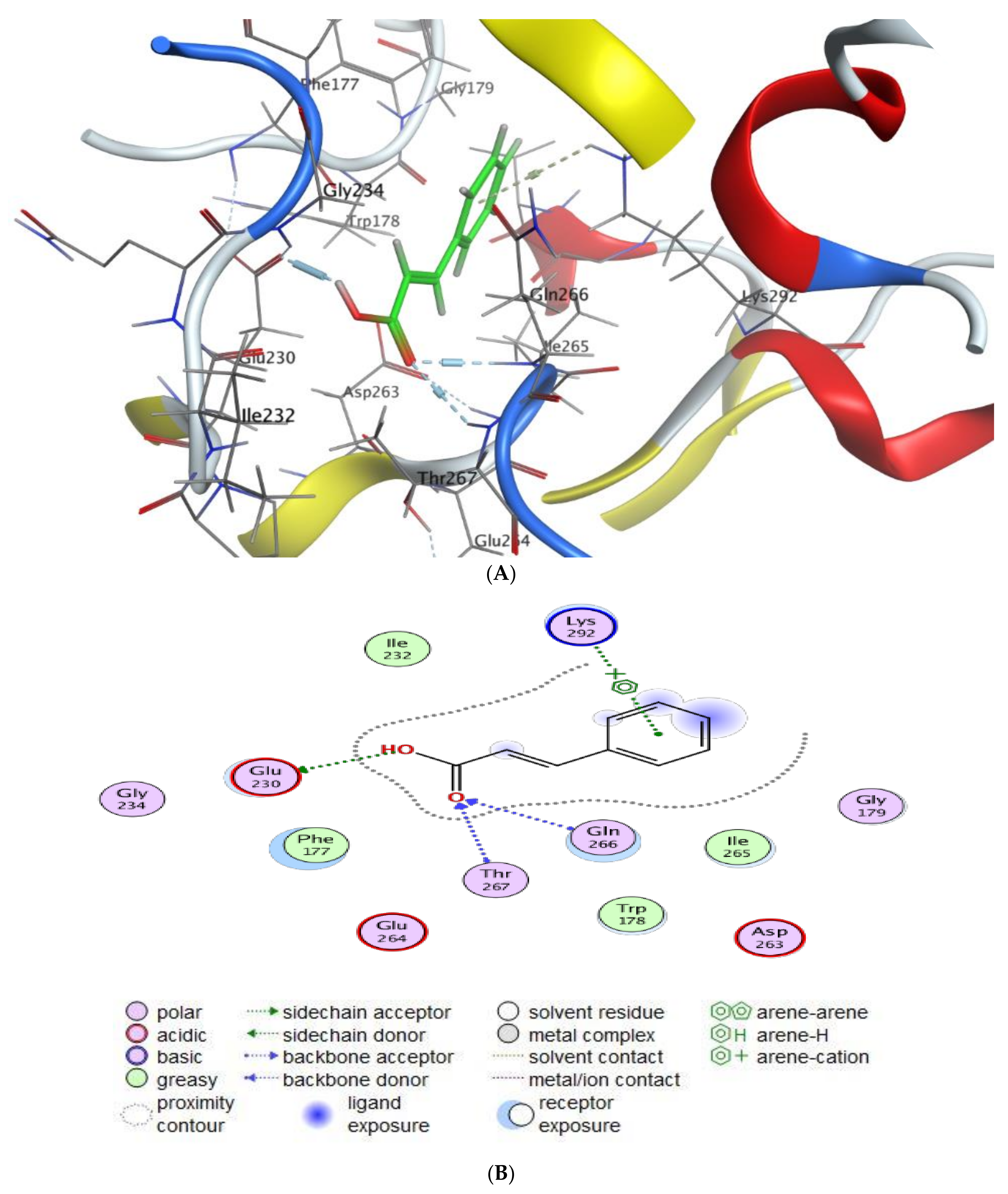 Molecules 28 04041 g007a