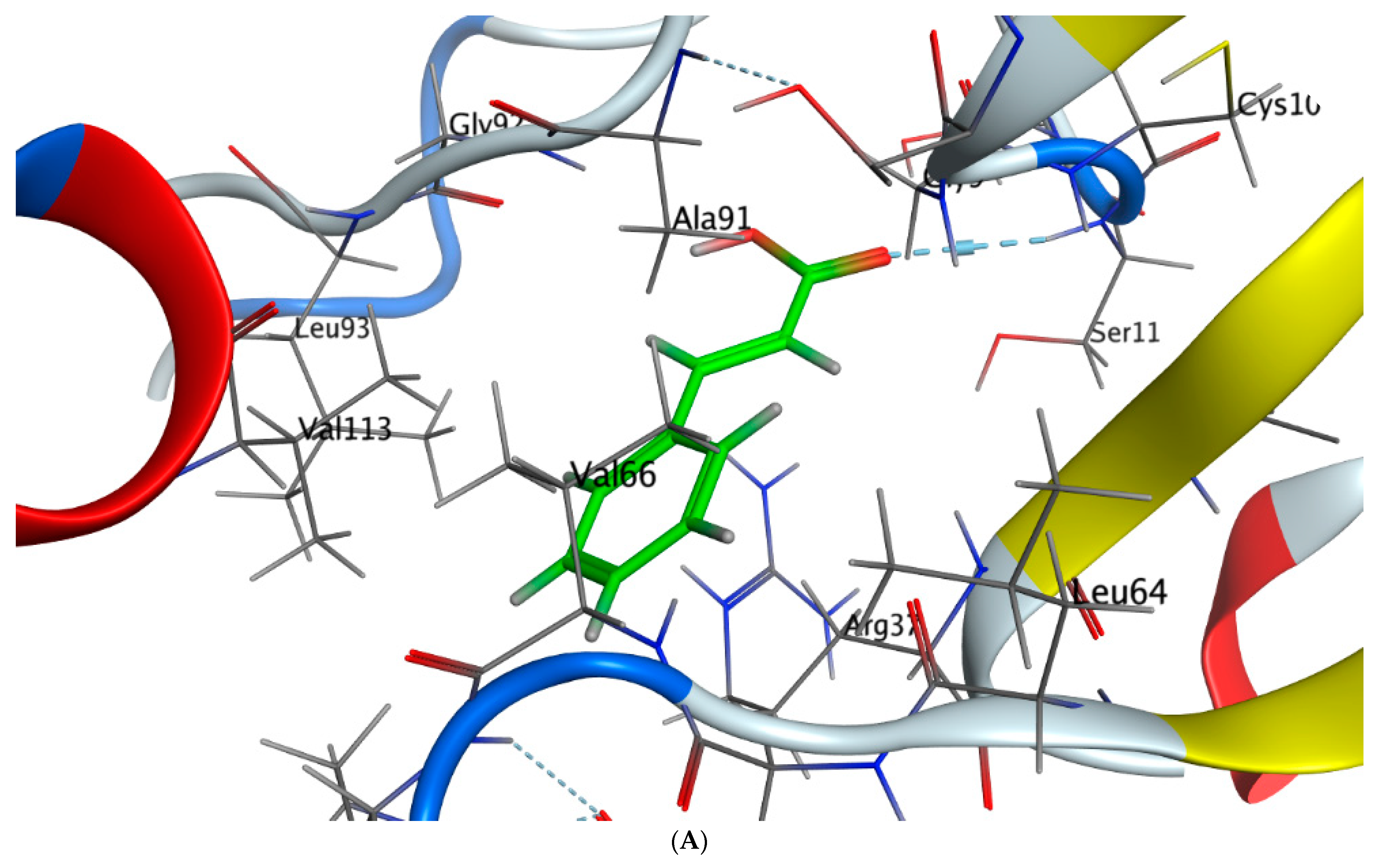 Molecules 28 04041 g009a