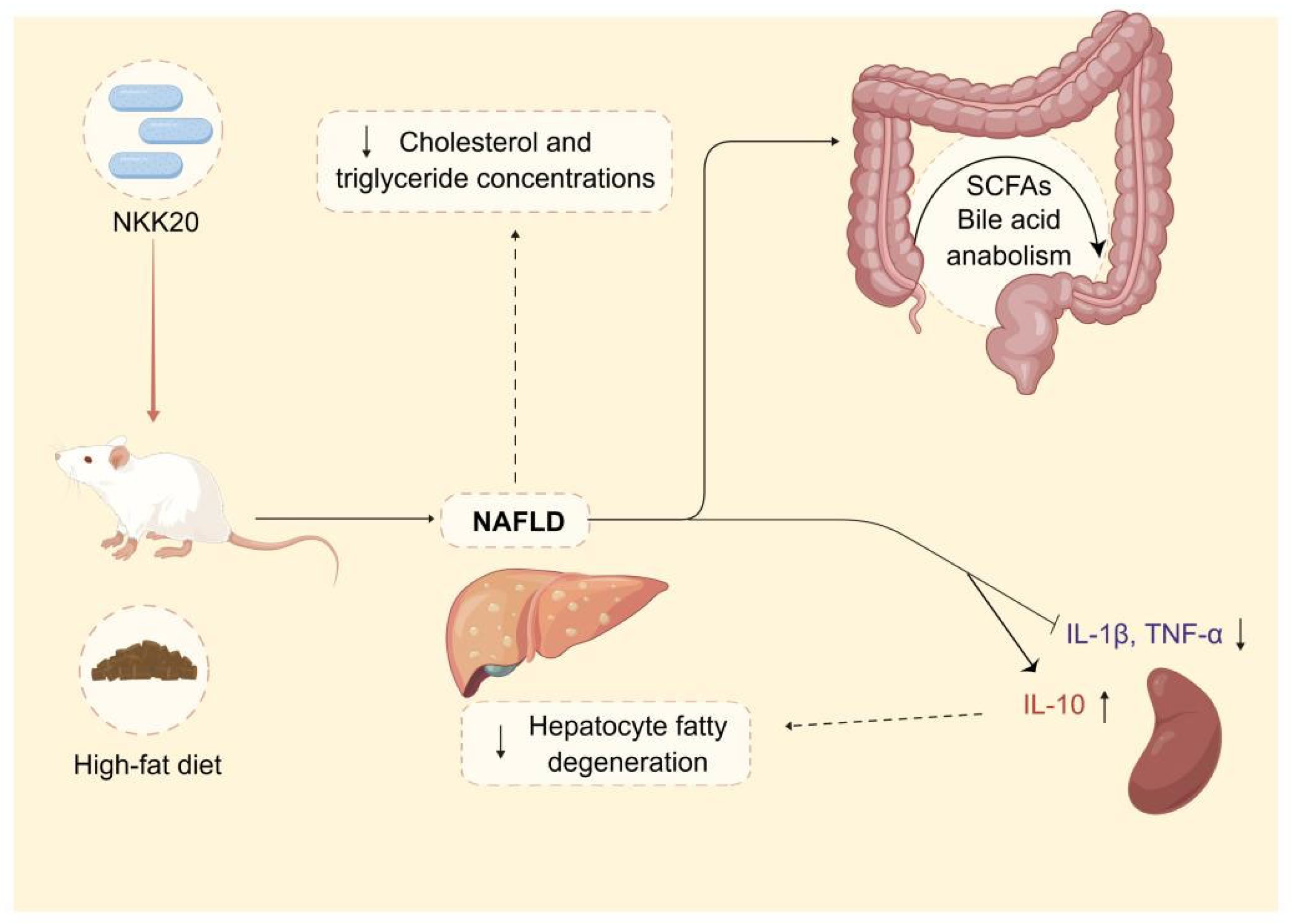 Molecules 28 04042 g008 Molecules 28 04042 g008