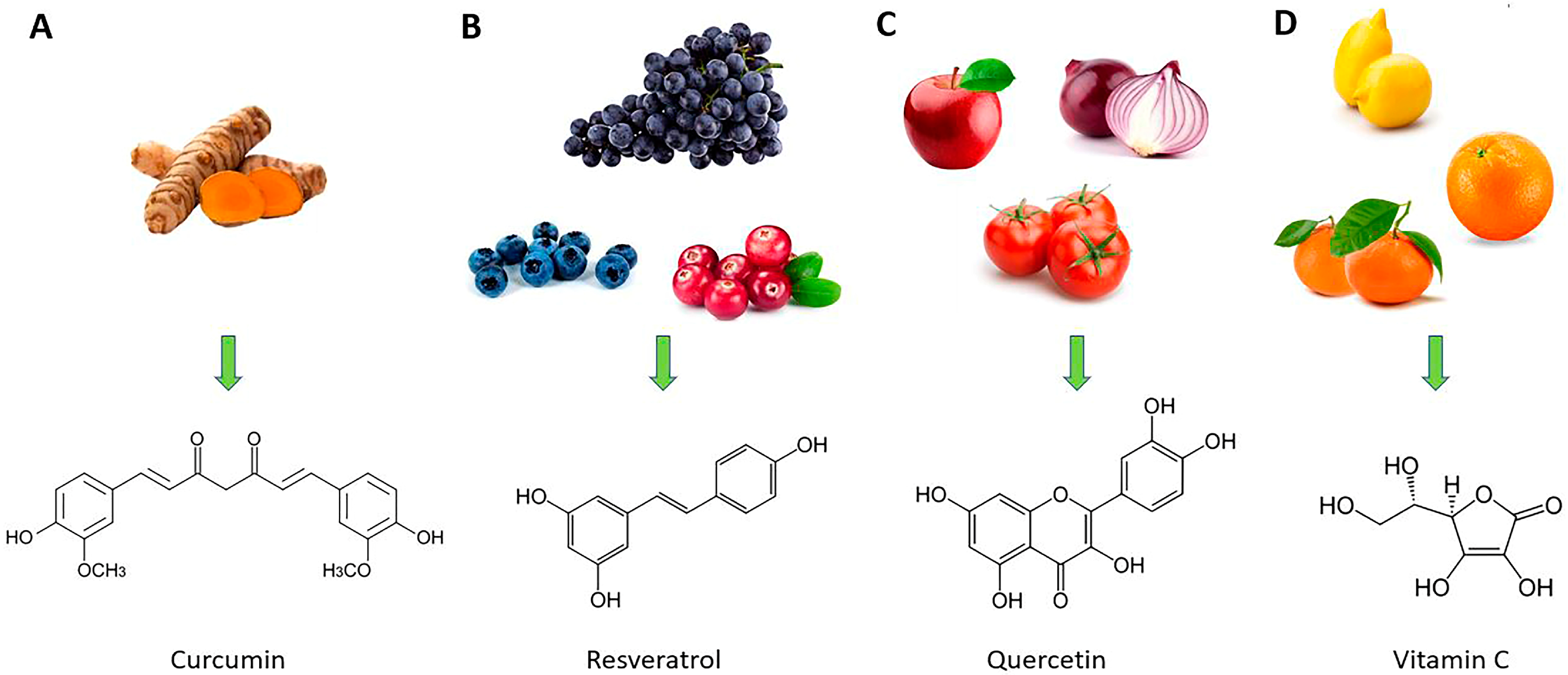 Molecules 28 04045 g003