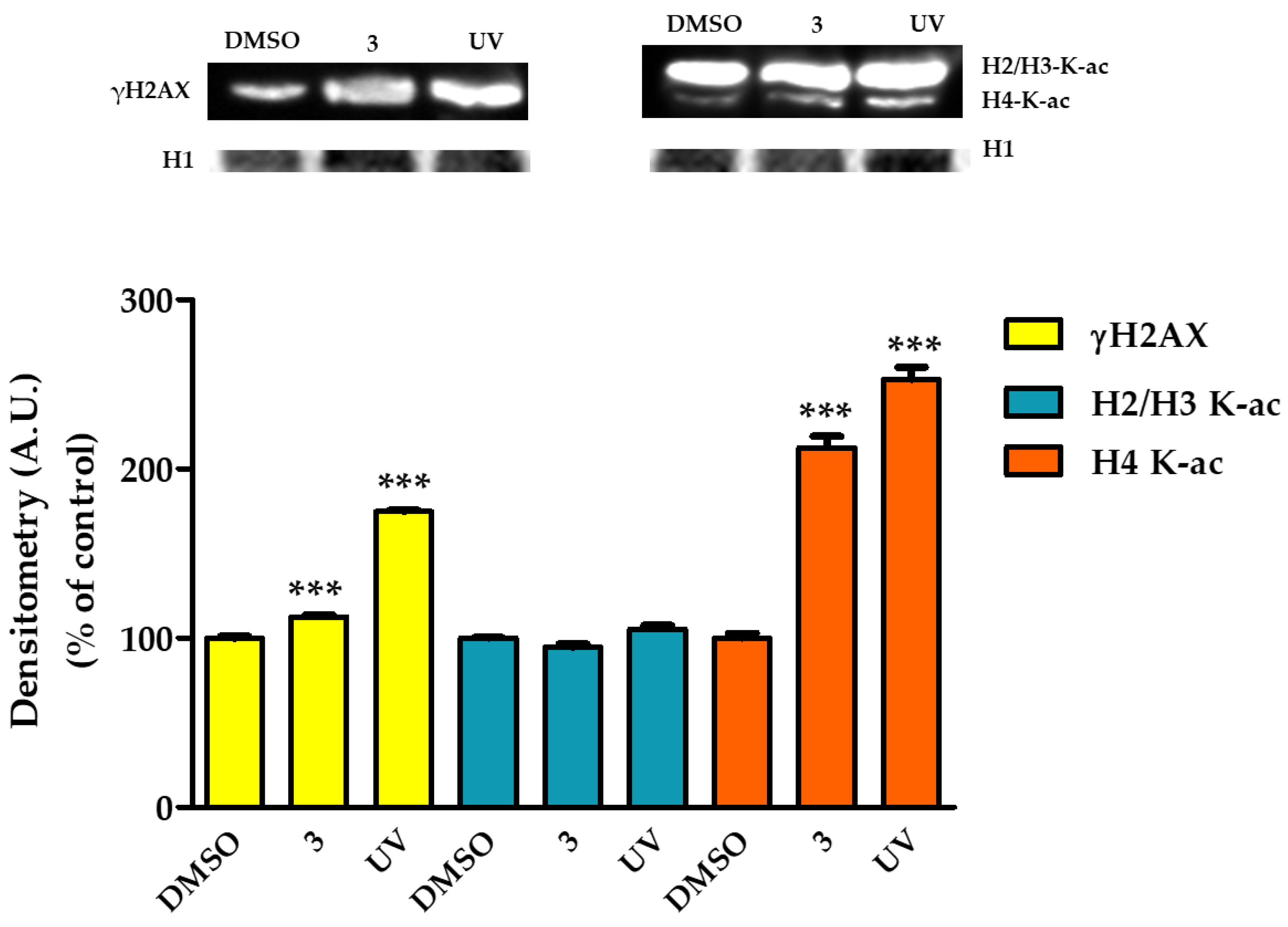 Molecules 28 04051 g006