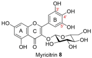 Molecules 28 04054 i008 Molecules 28 04054 i008
