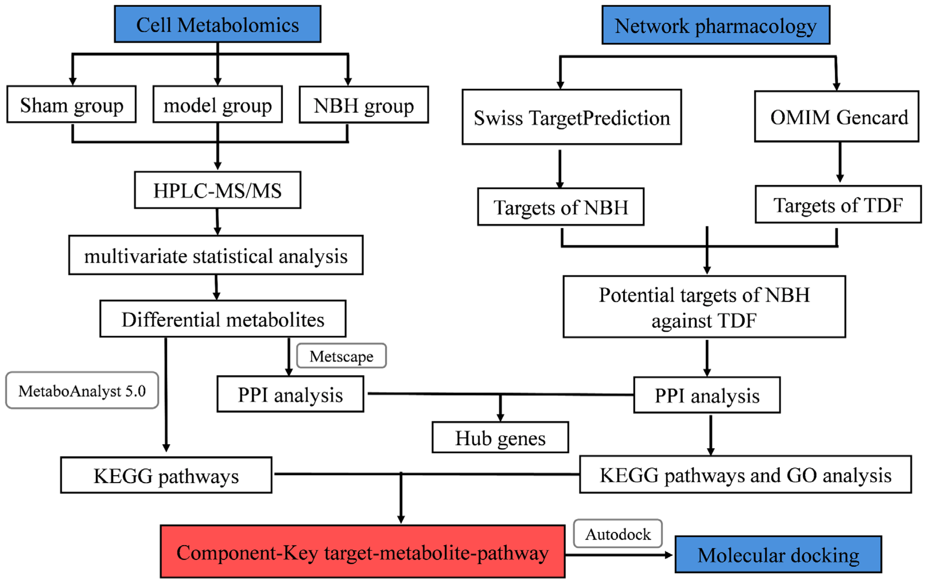 Molecules 28 04064 g001