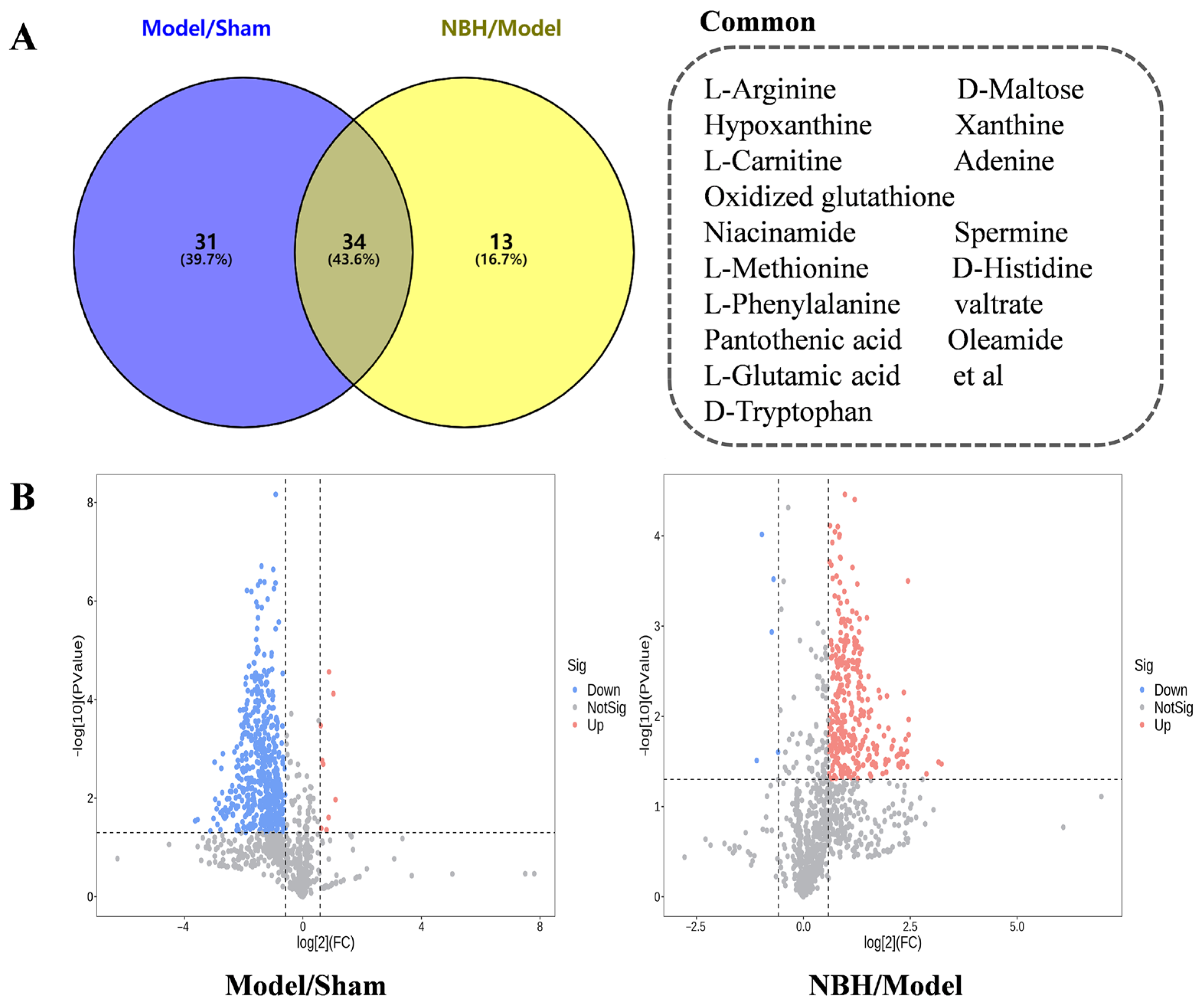 Molecules 28 04064 g005