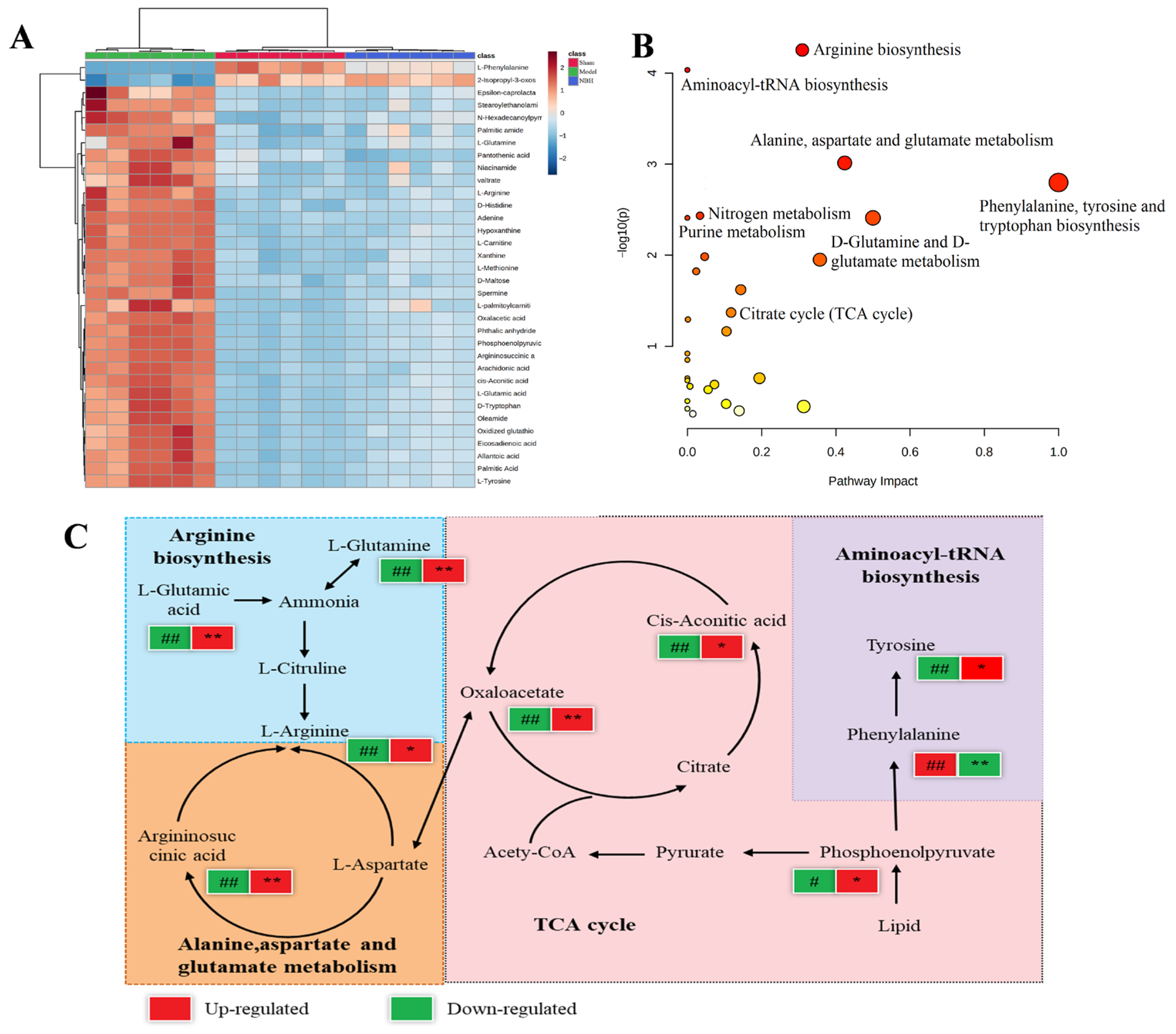 Molecules 28 04064 g006