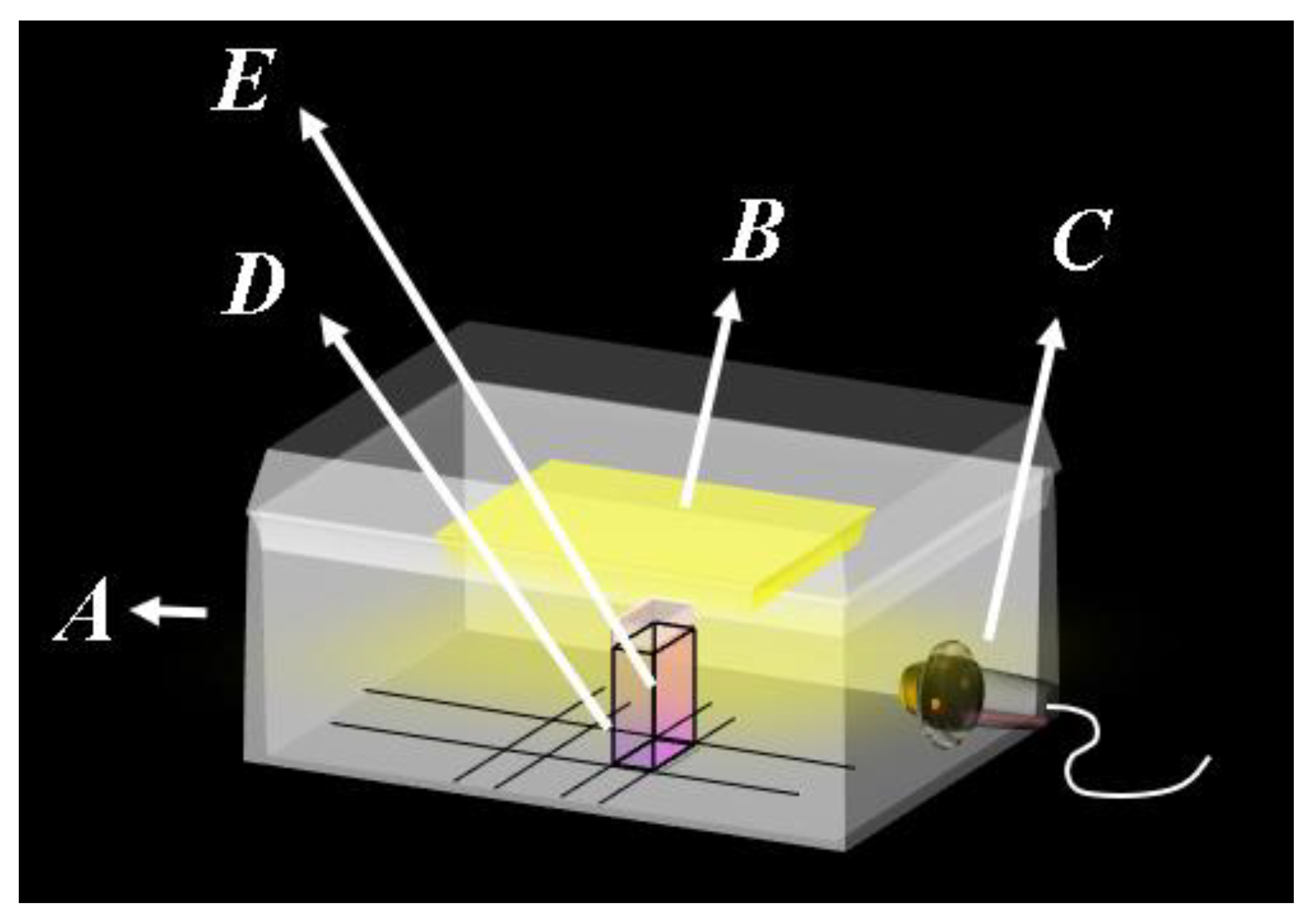 Molecules 28 04065 g008