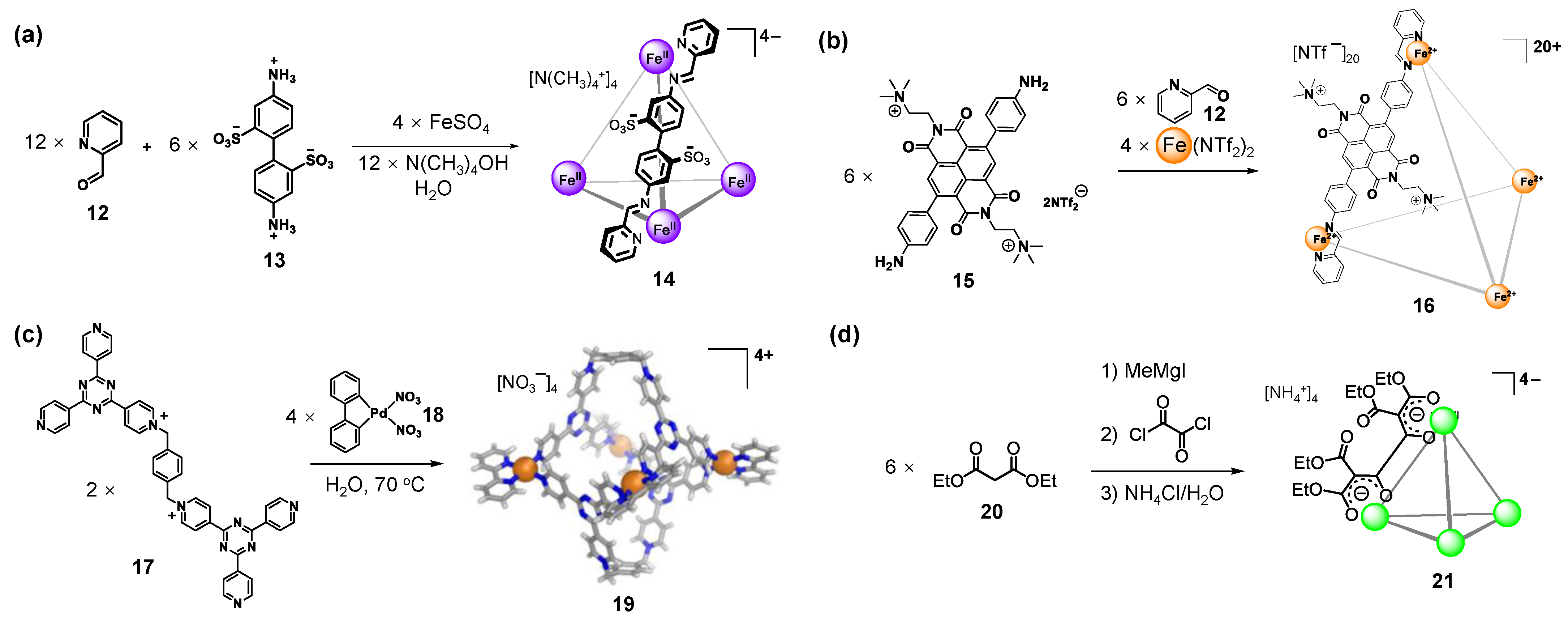 Molecules 28 04068 g003 Molecules 28 04068 g003