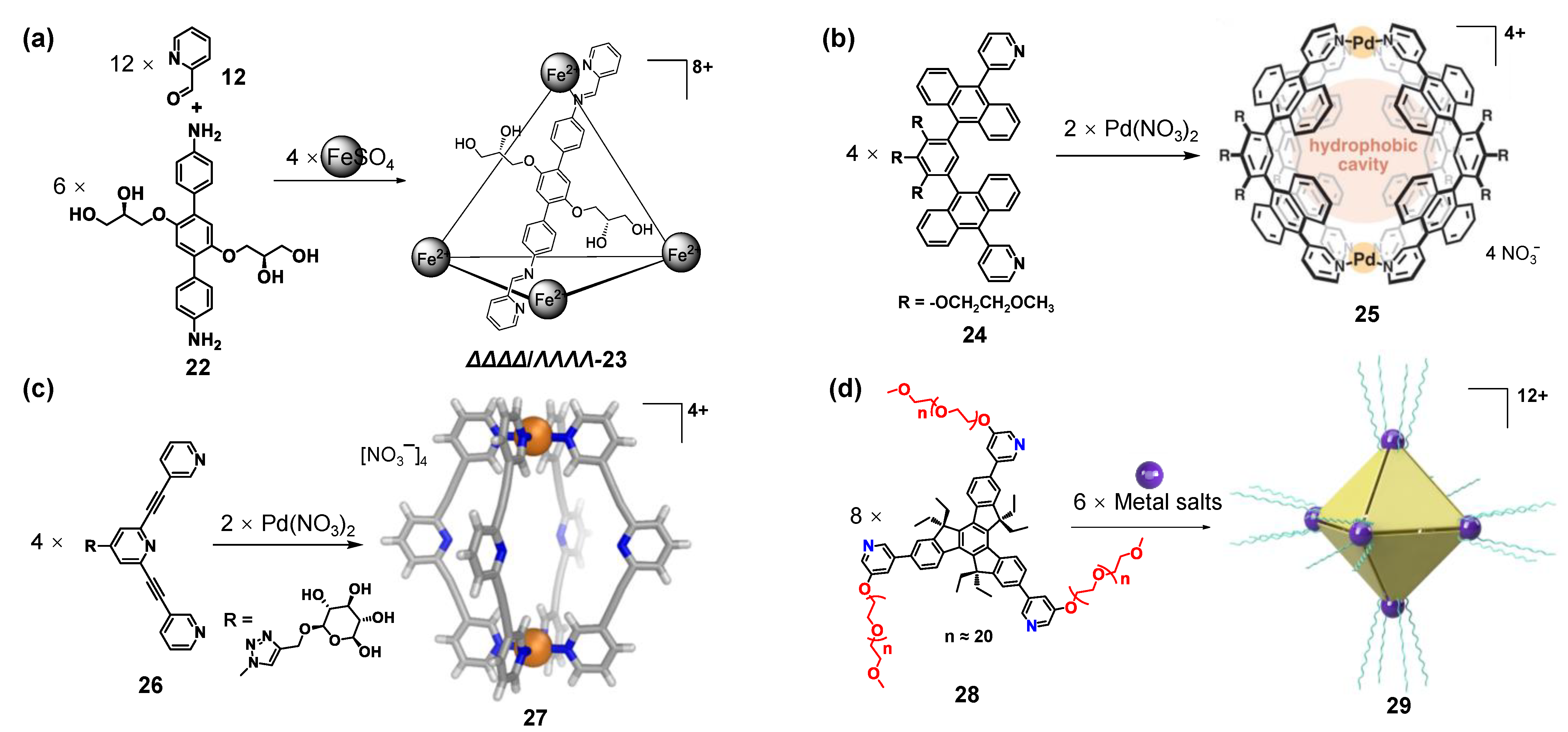 Molecules 28 04068 g004 Molecules 28 04068 g004