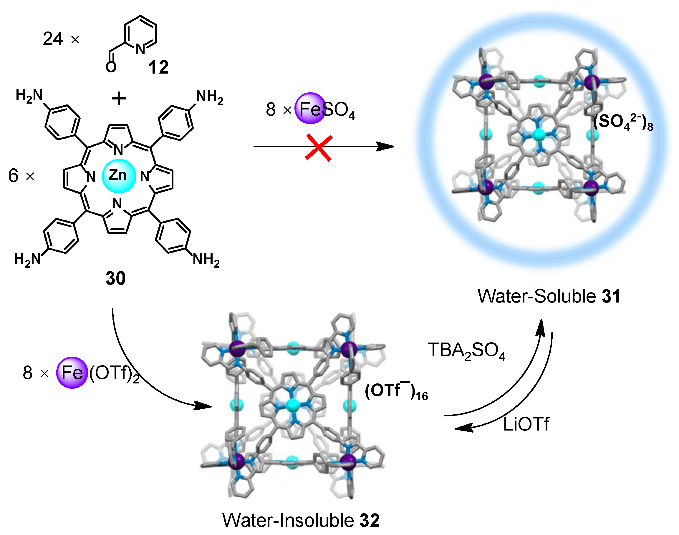 Molecules 28 04068 g005 Molecules 28 04068 g005