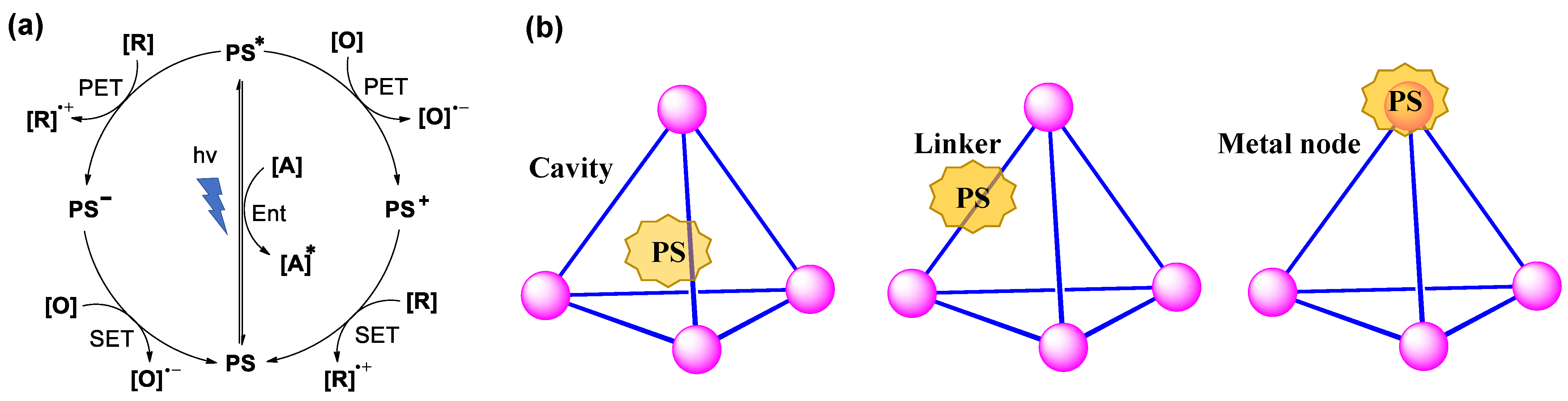 Molecules 28 04068 g006 Molecules 28 04068 g006