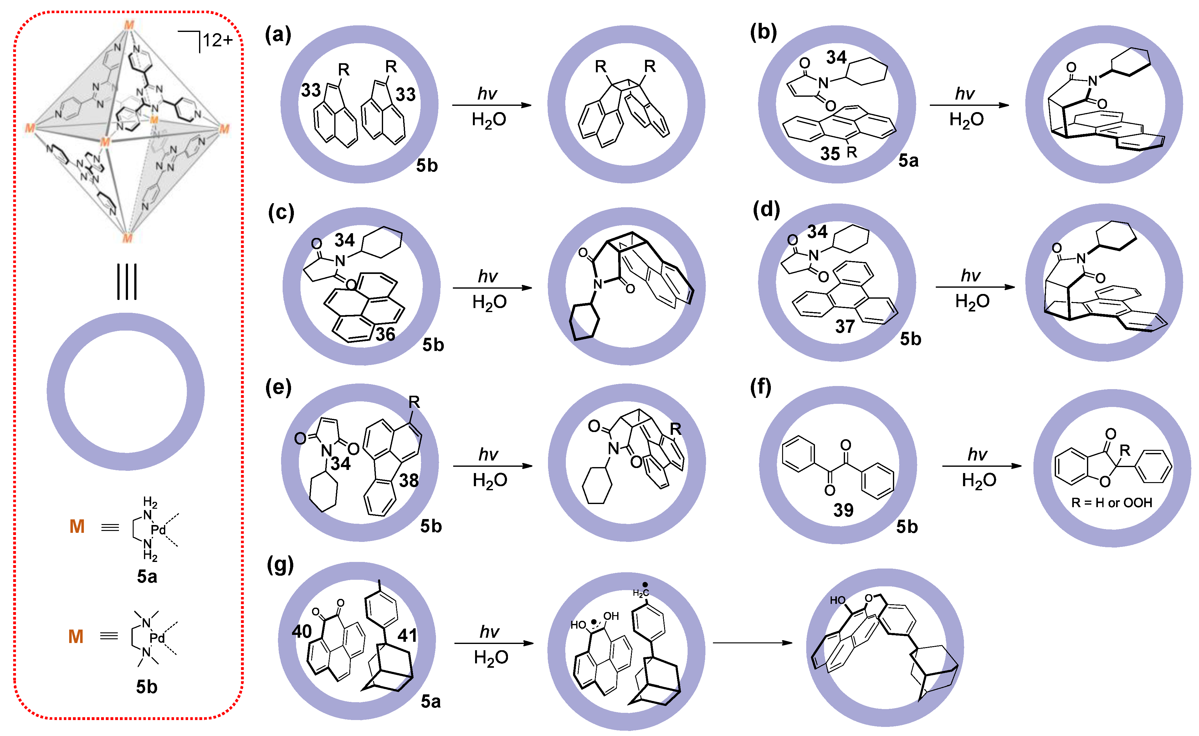 Molecules 28 04068 g008 Molecules 28 04068 g008