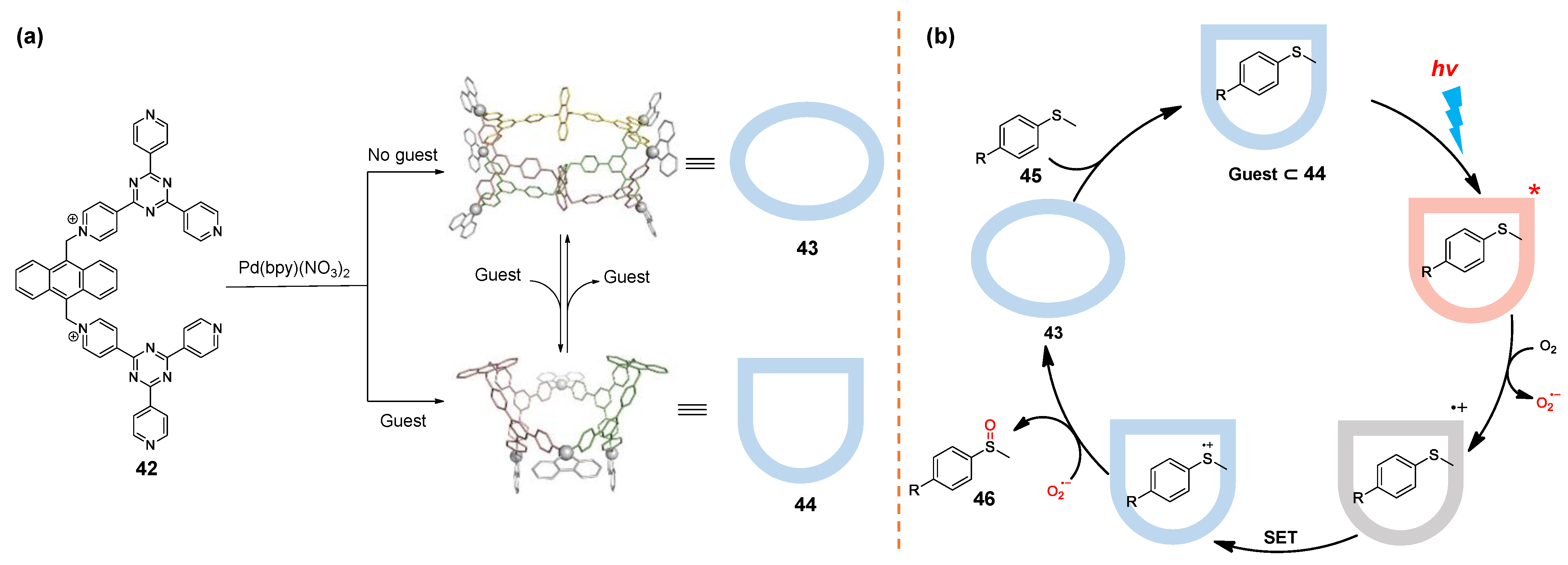 Molecules 28 04068 g009 Molecules 28 04068 g009