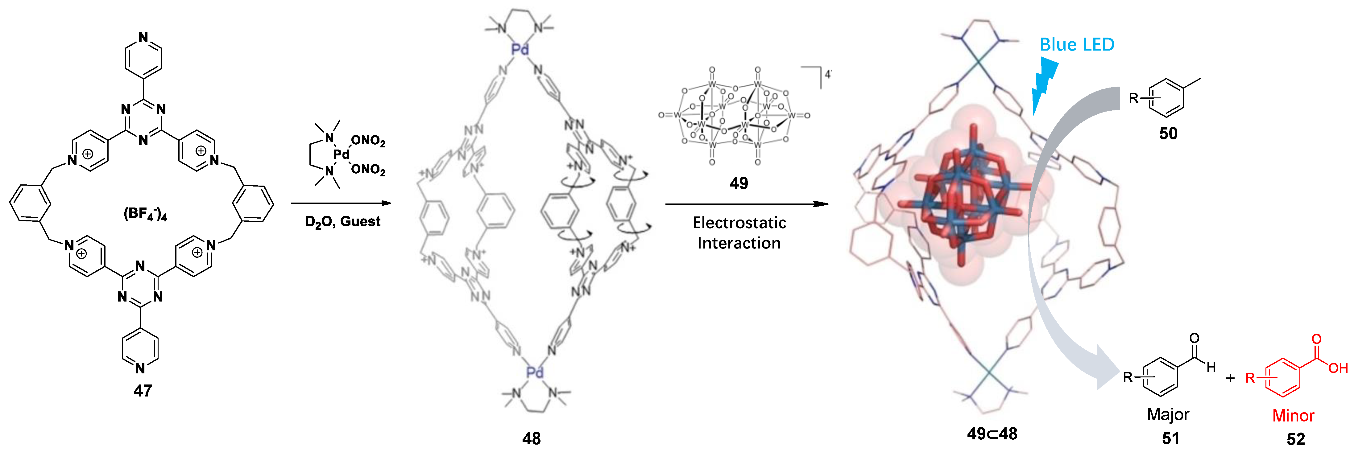 Molecules 28 04068 g010 Molecules 28 04068 g010