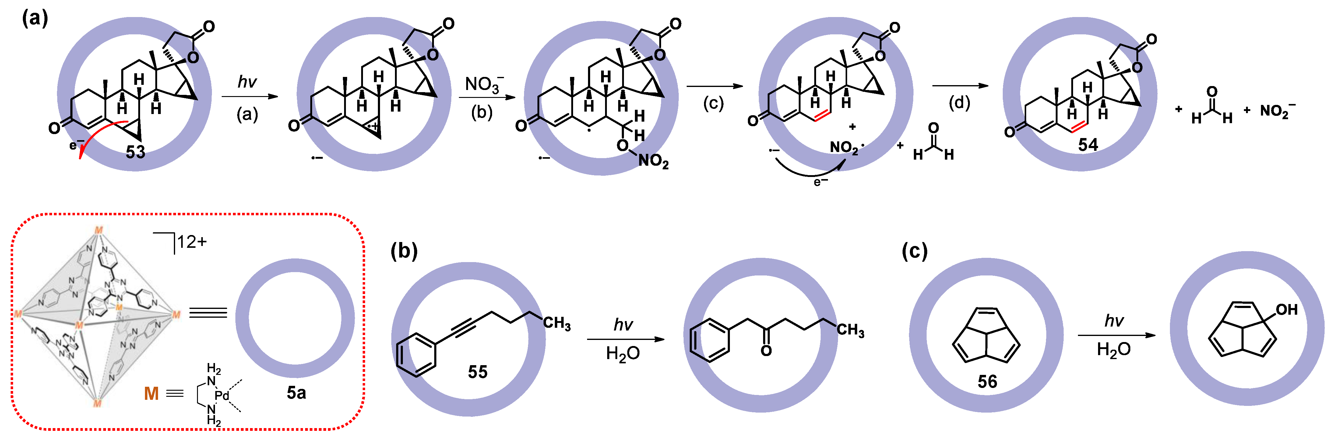 Molecules 28 04068 g011 Molecules 28 04068 g011