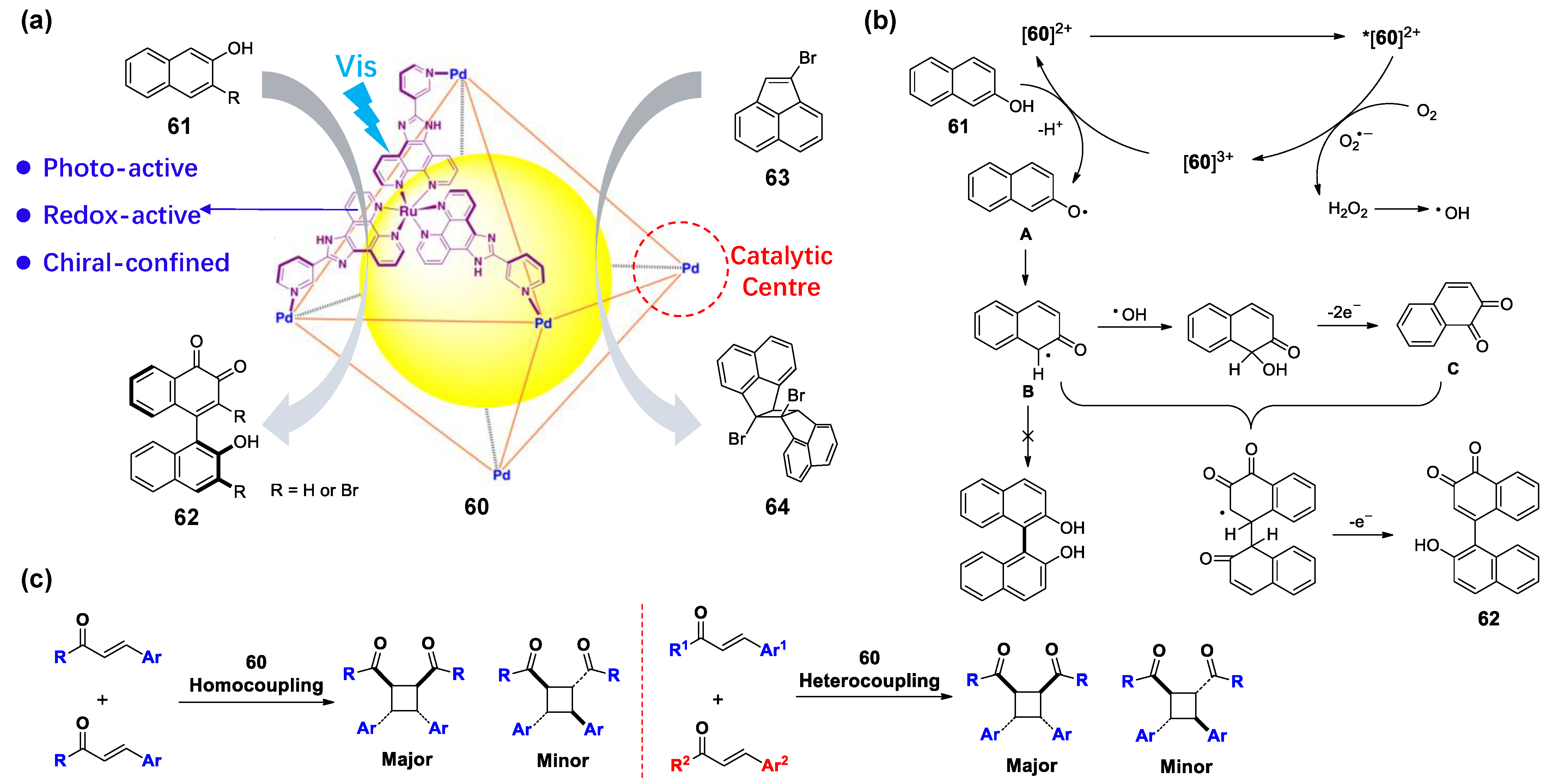 Molecules 28 04068 g013 Molecules 28 04068 g013