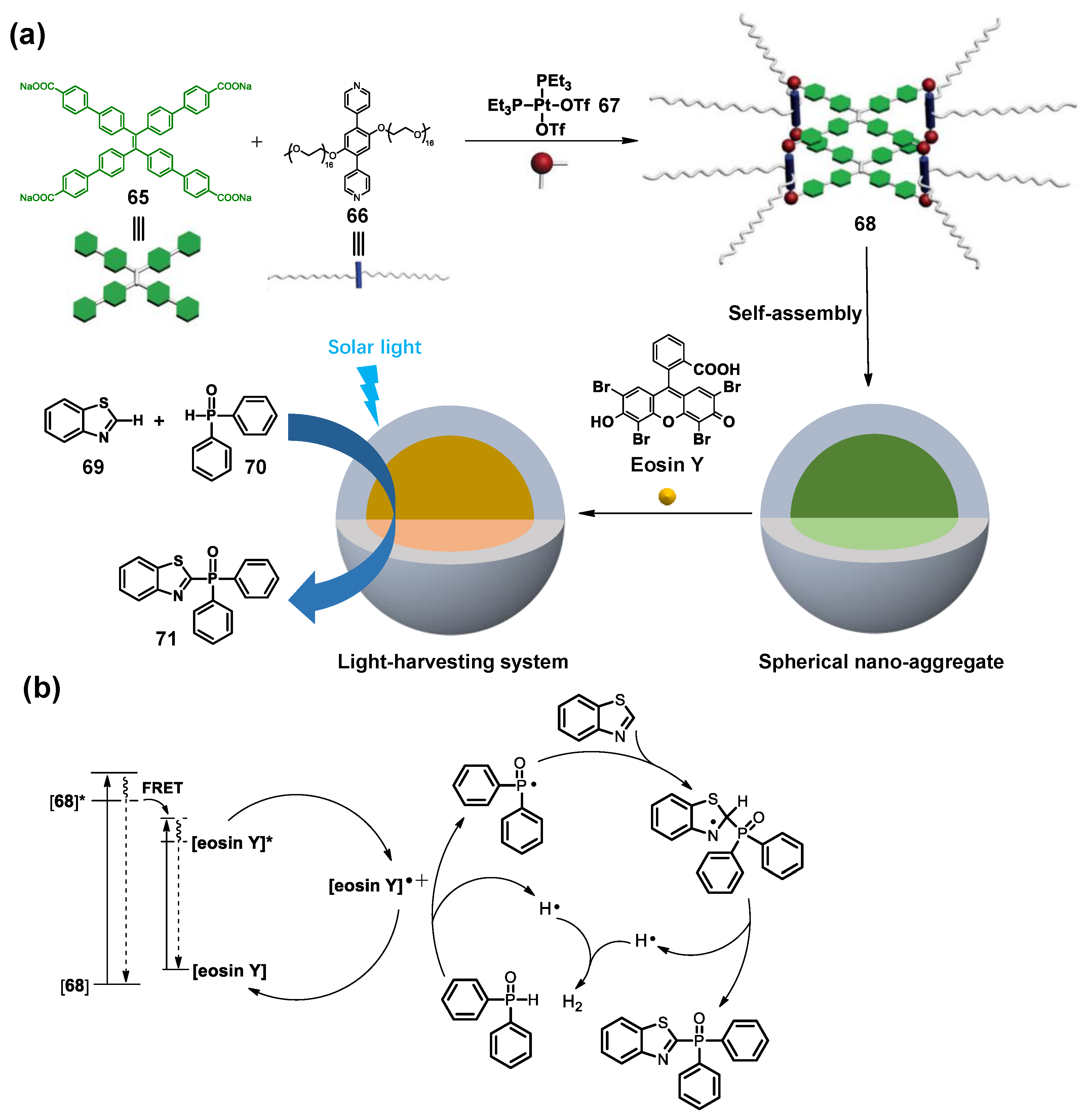 Molecules 28 04068 g014 Molecules 28 04068 g014