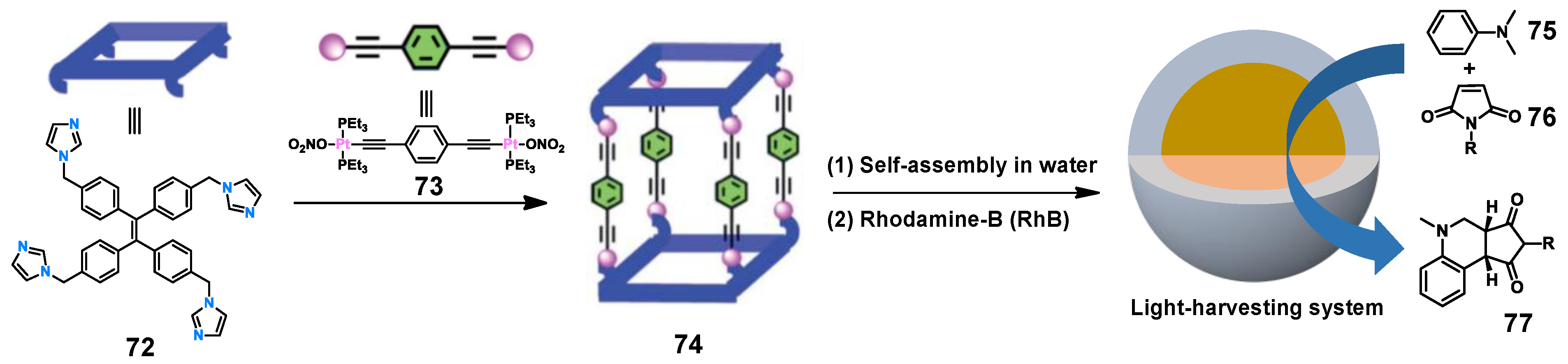 Molecules 28 04068 g015 Molecules 28 04068 g015