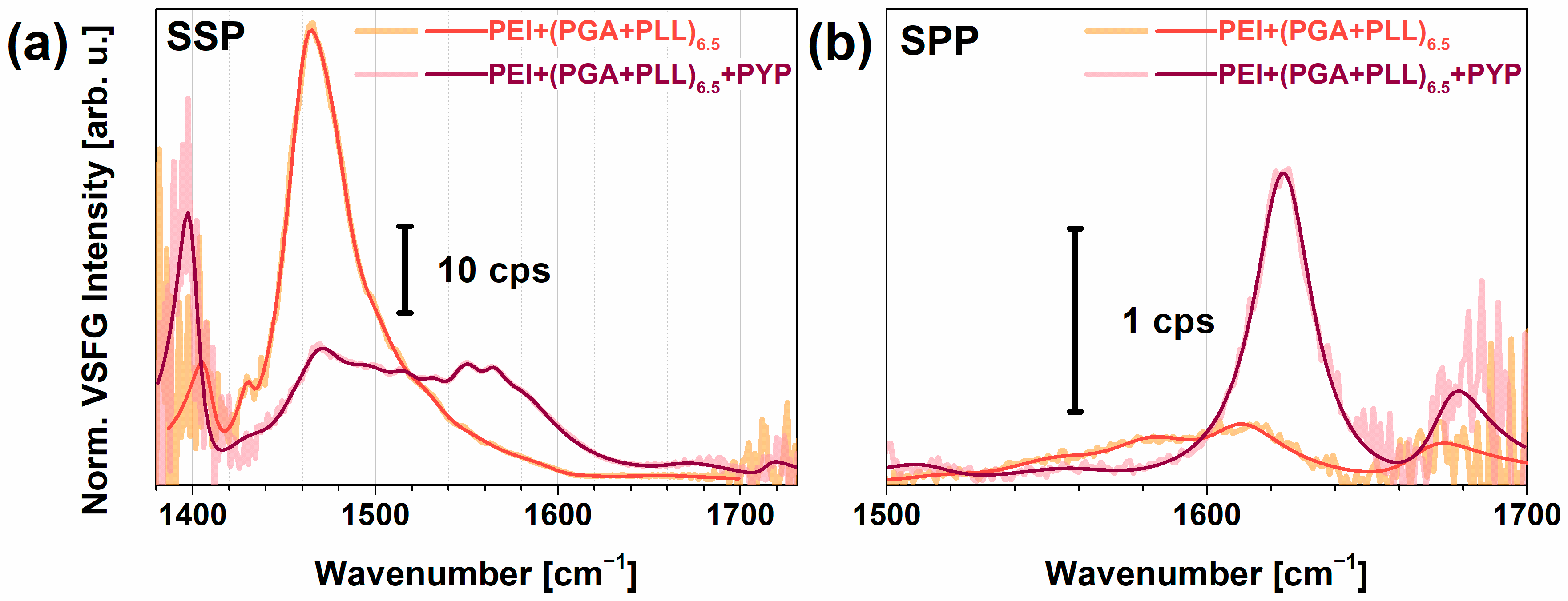 Molecules 28 04077 g004