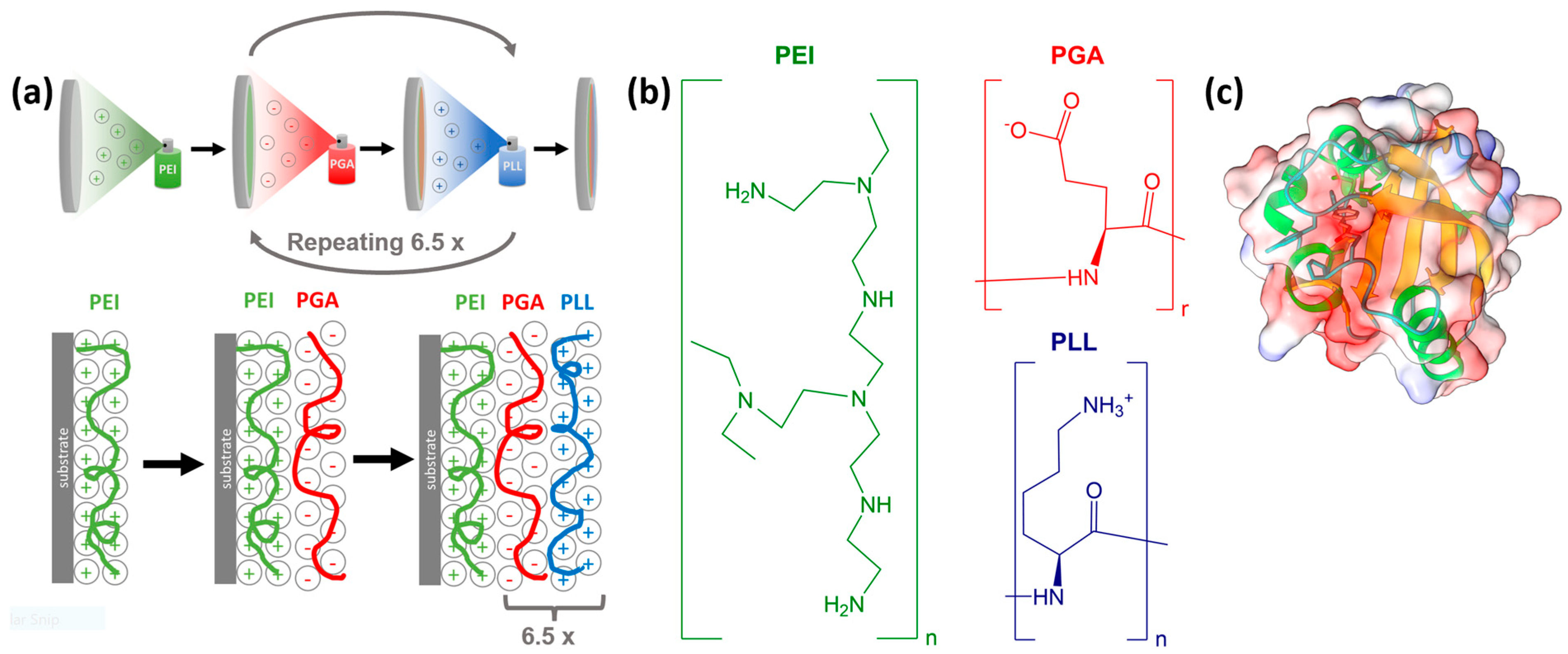 Molecules 28 04077 g006