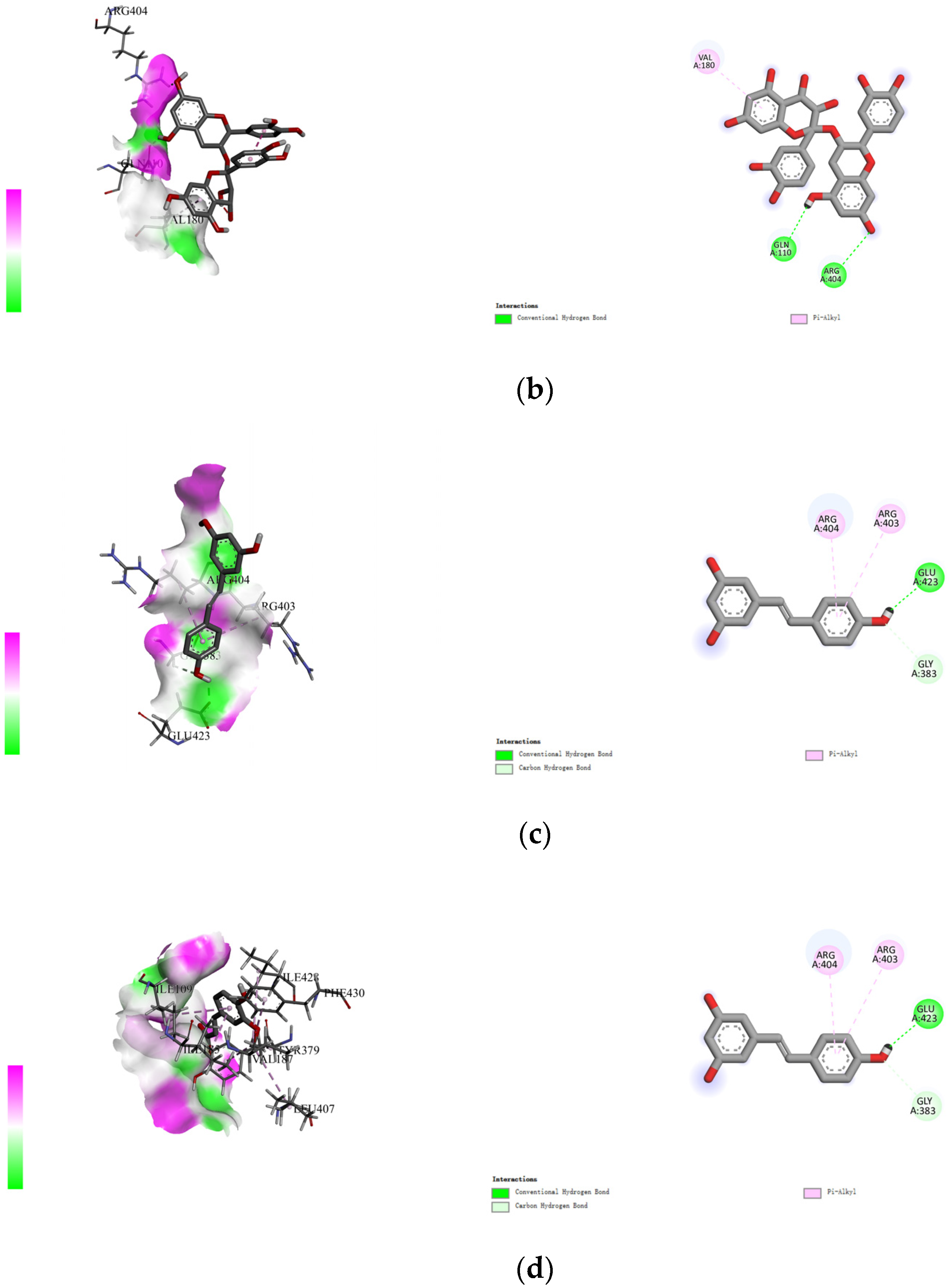 Molecules 28 04078 g003b Molecules 28 04078 g003b