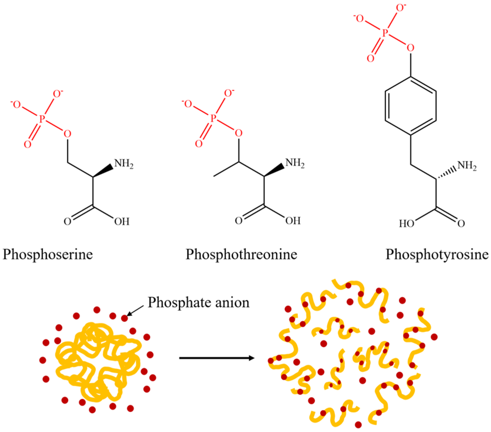 Molecules 28 04078 g005 Molecules 28 04078 g005