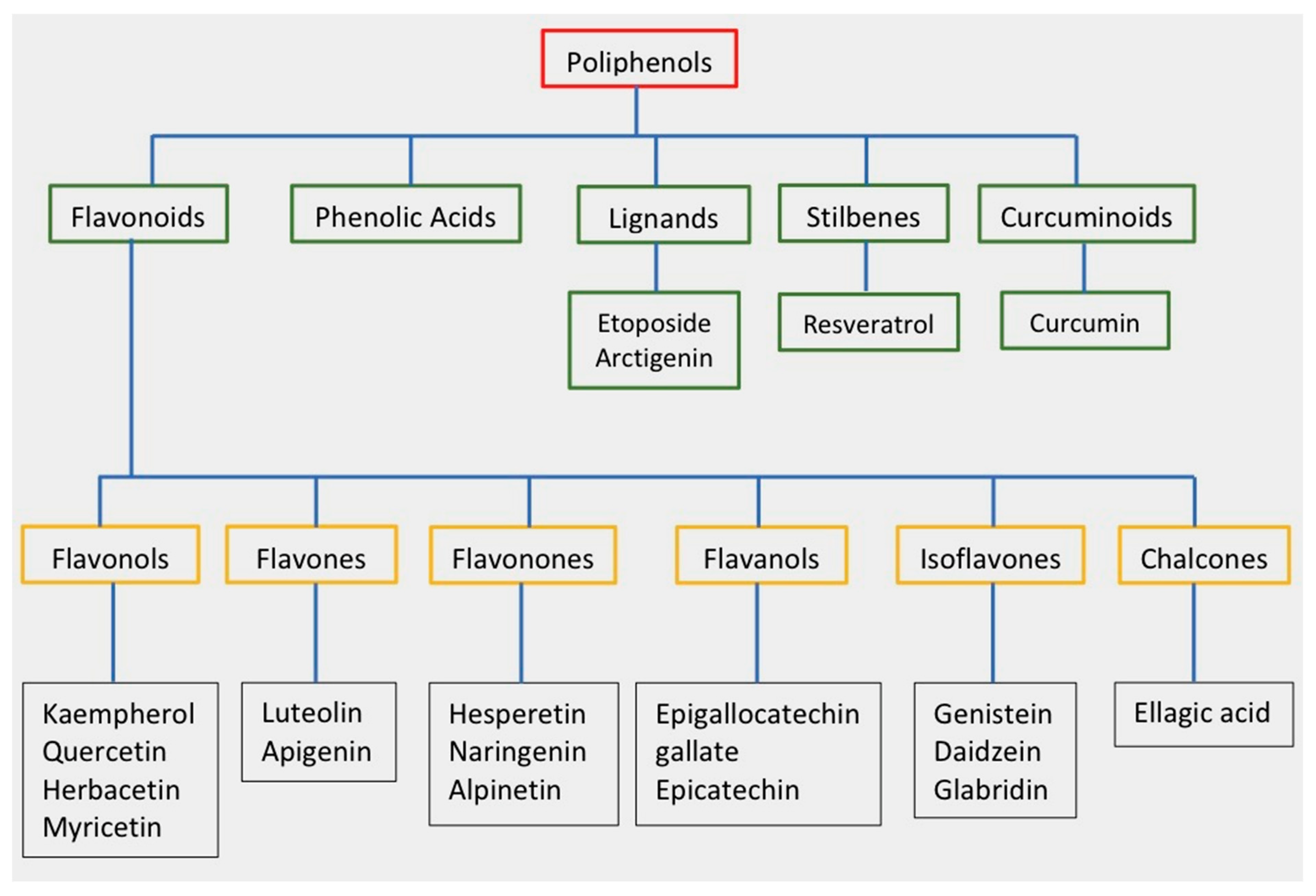 Molecules 28 04080 g001 Molecules 28 04080 g001