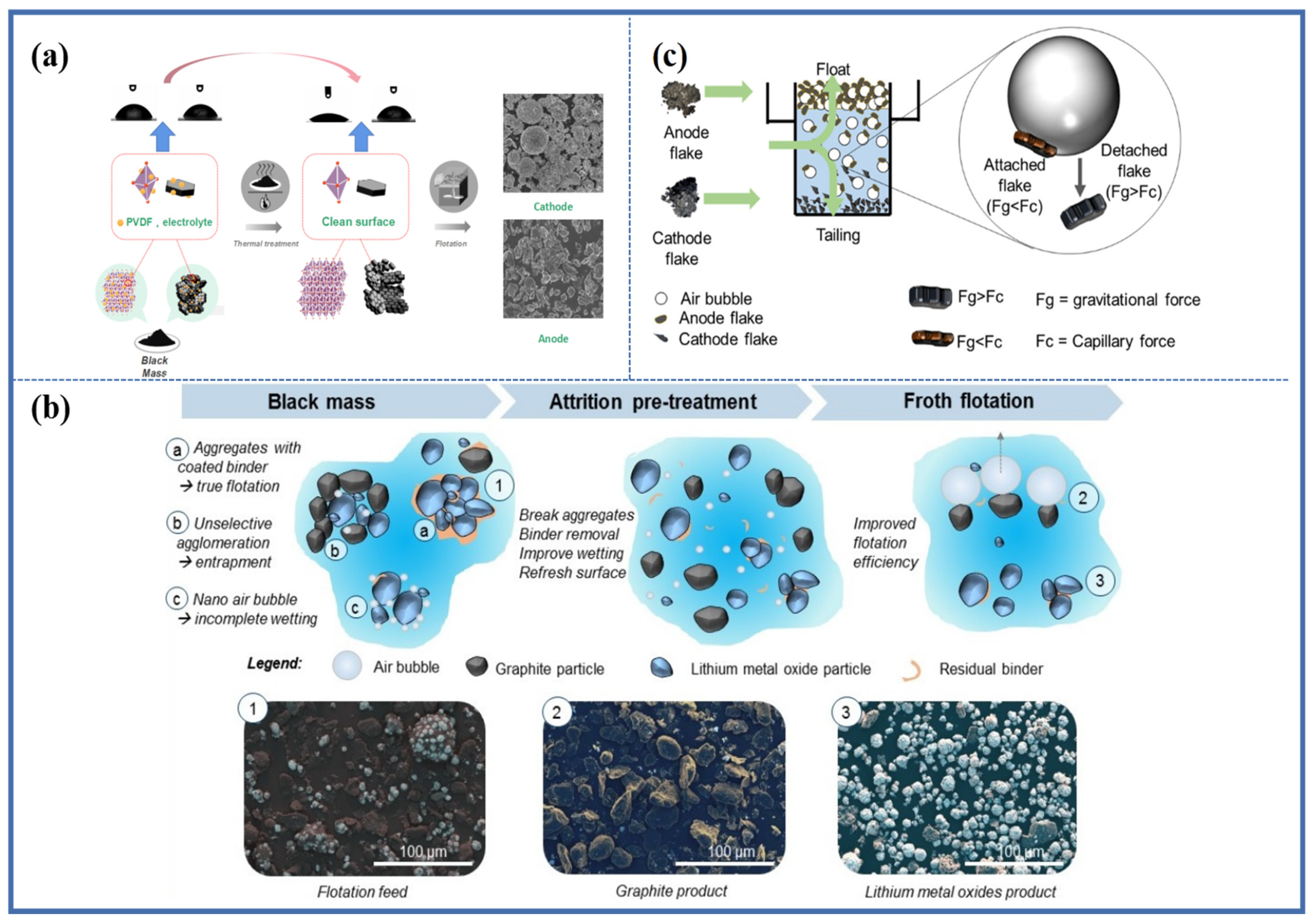 Molecules 28 04081 g006 Molecules 28 04081 g006