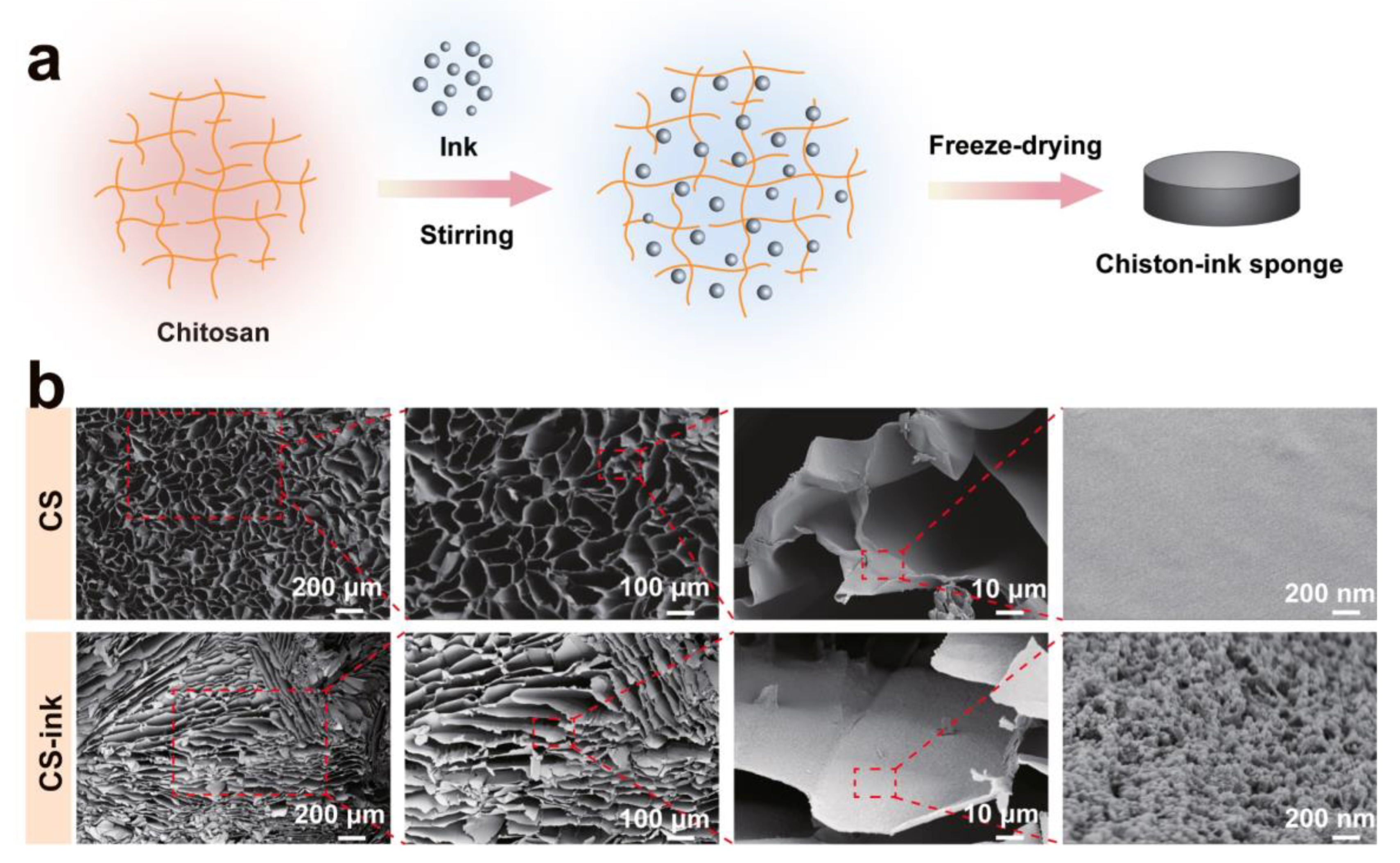 Molecules 28 04083 g001 Molecules 28 04083 g001
