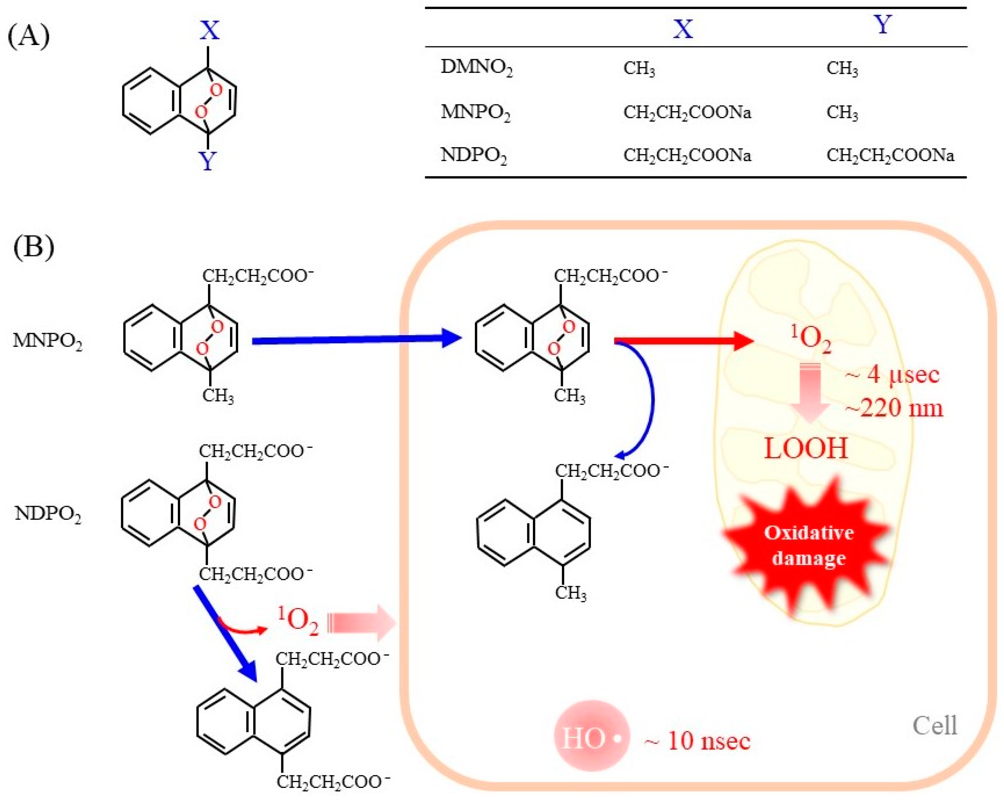 Molecules 28 04085 g002