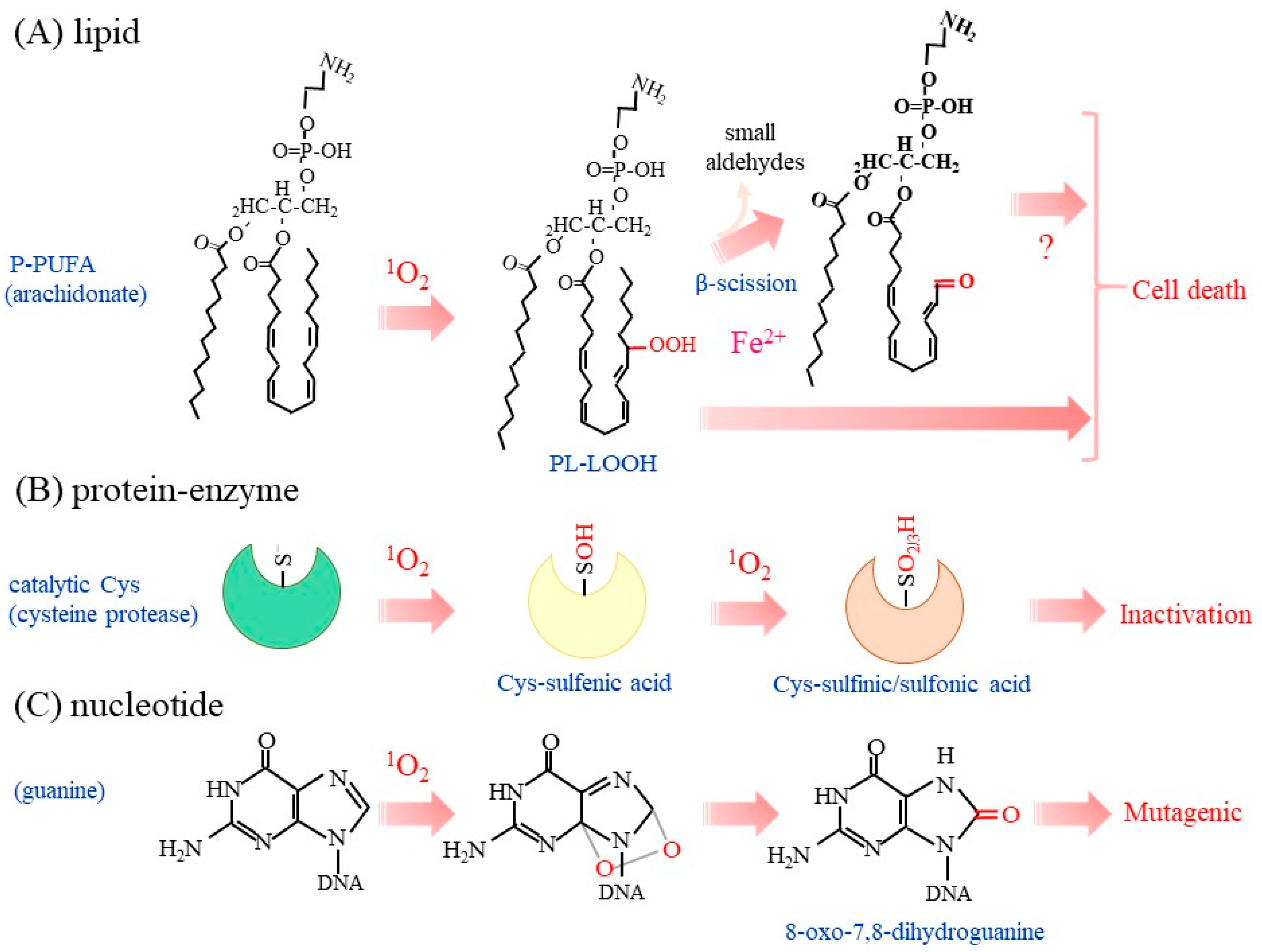 Molecules 28 04085 g003