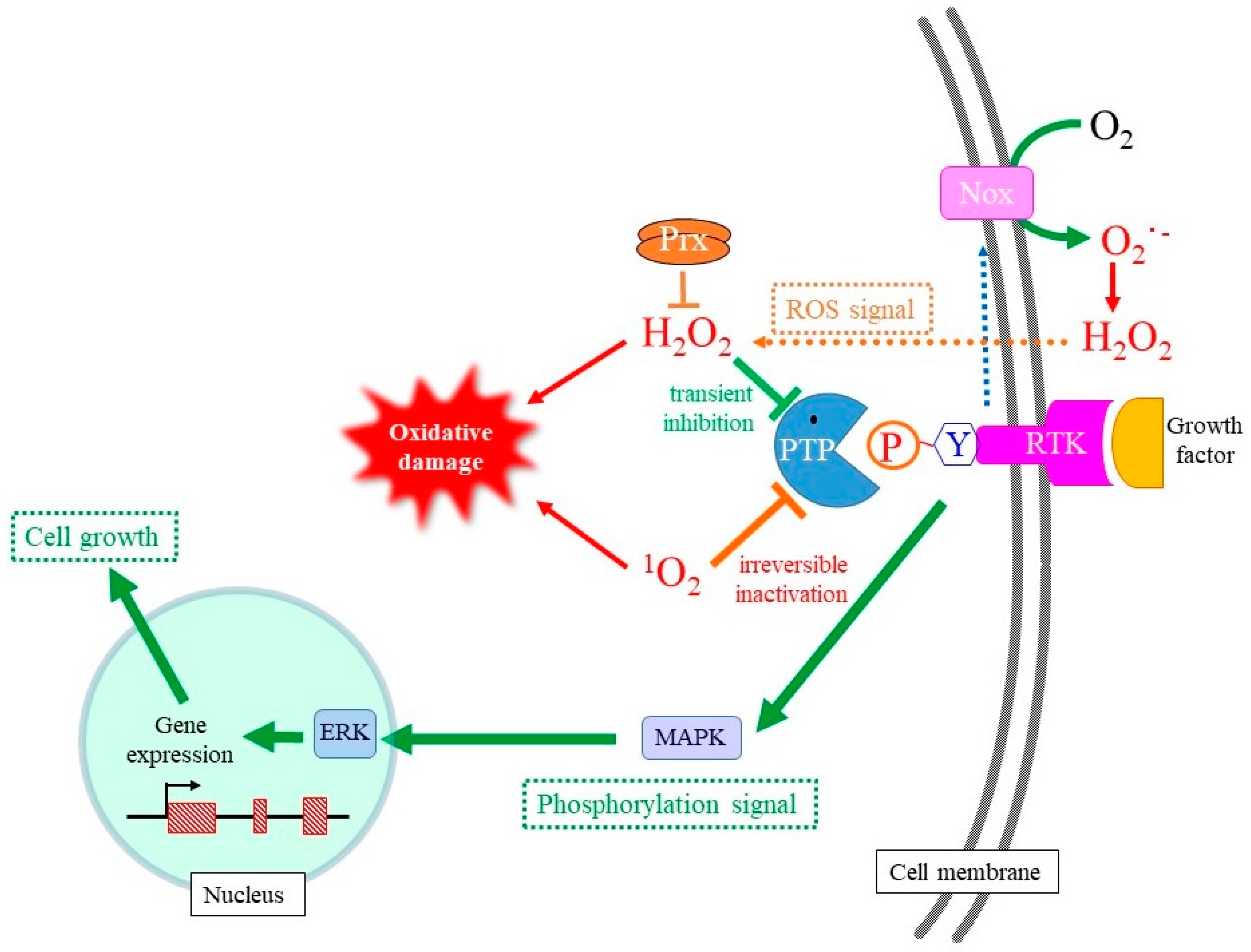 Molecules 28 04085 g004
