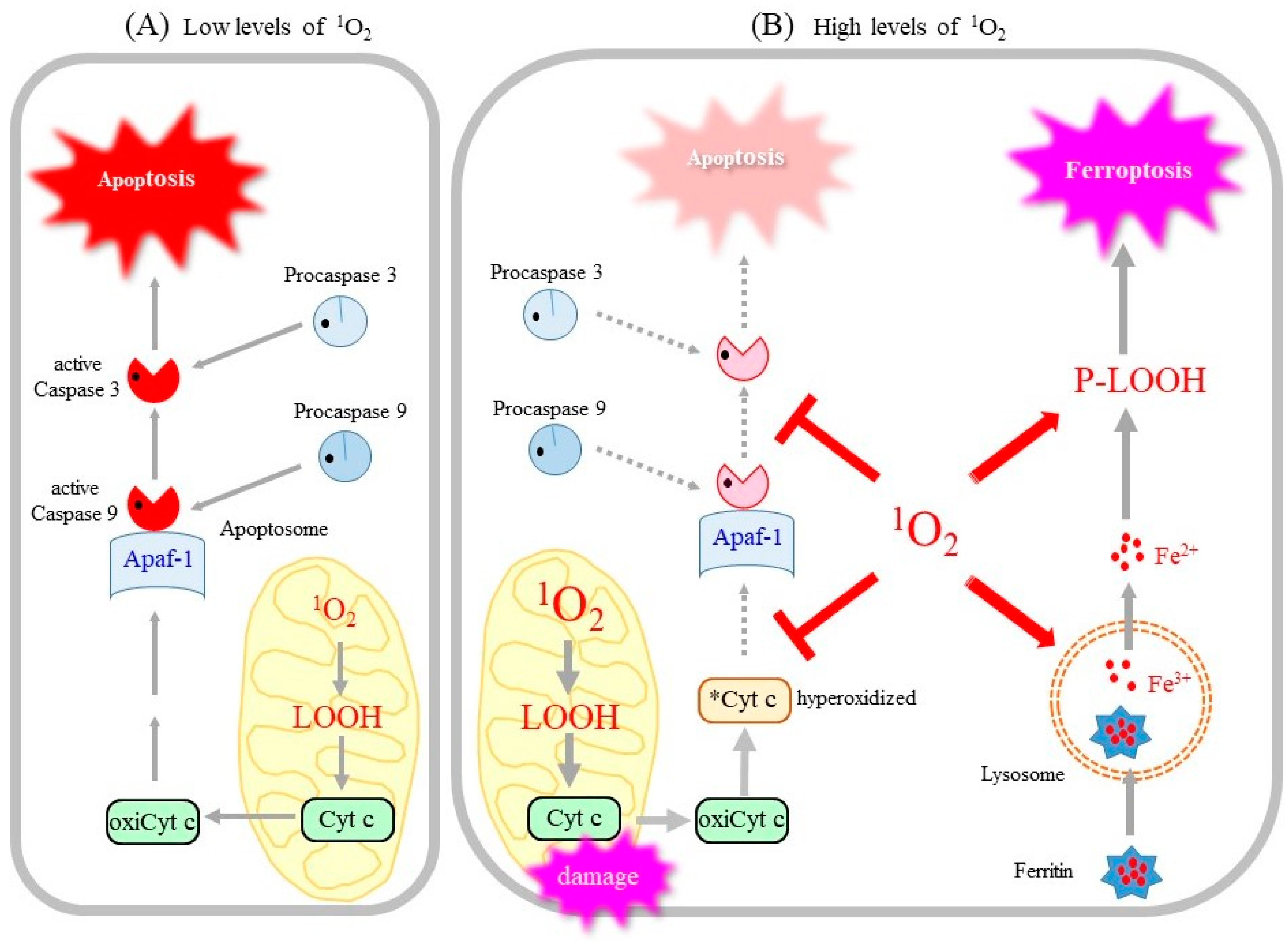 Molecules 28 04085 g005
