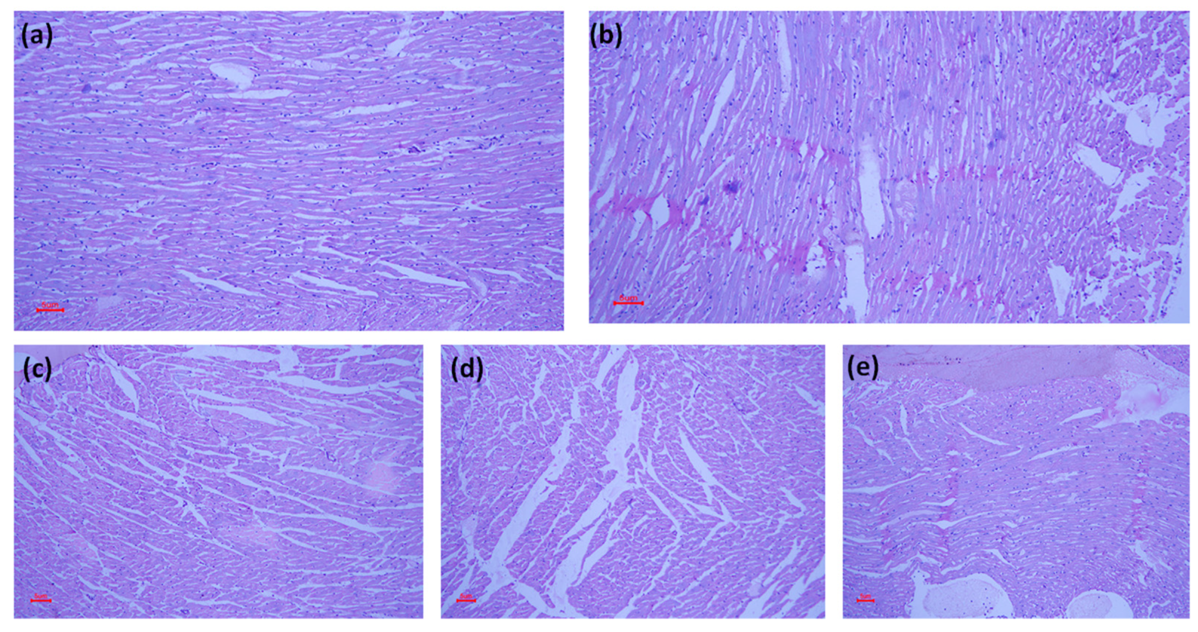 Molecules 28 04089 g004