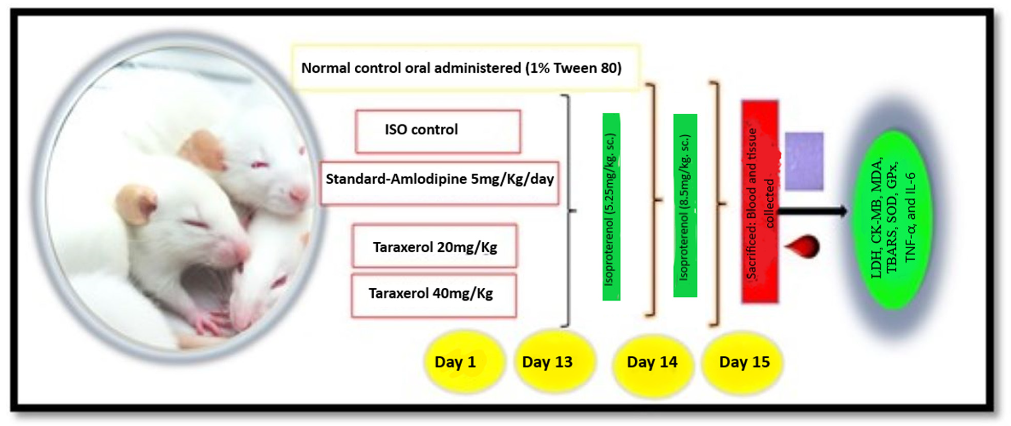 Molecules 28 04089 sch001