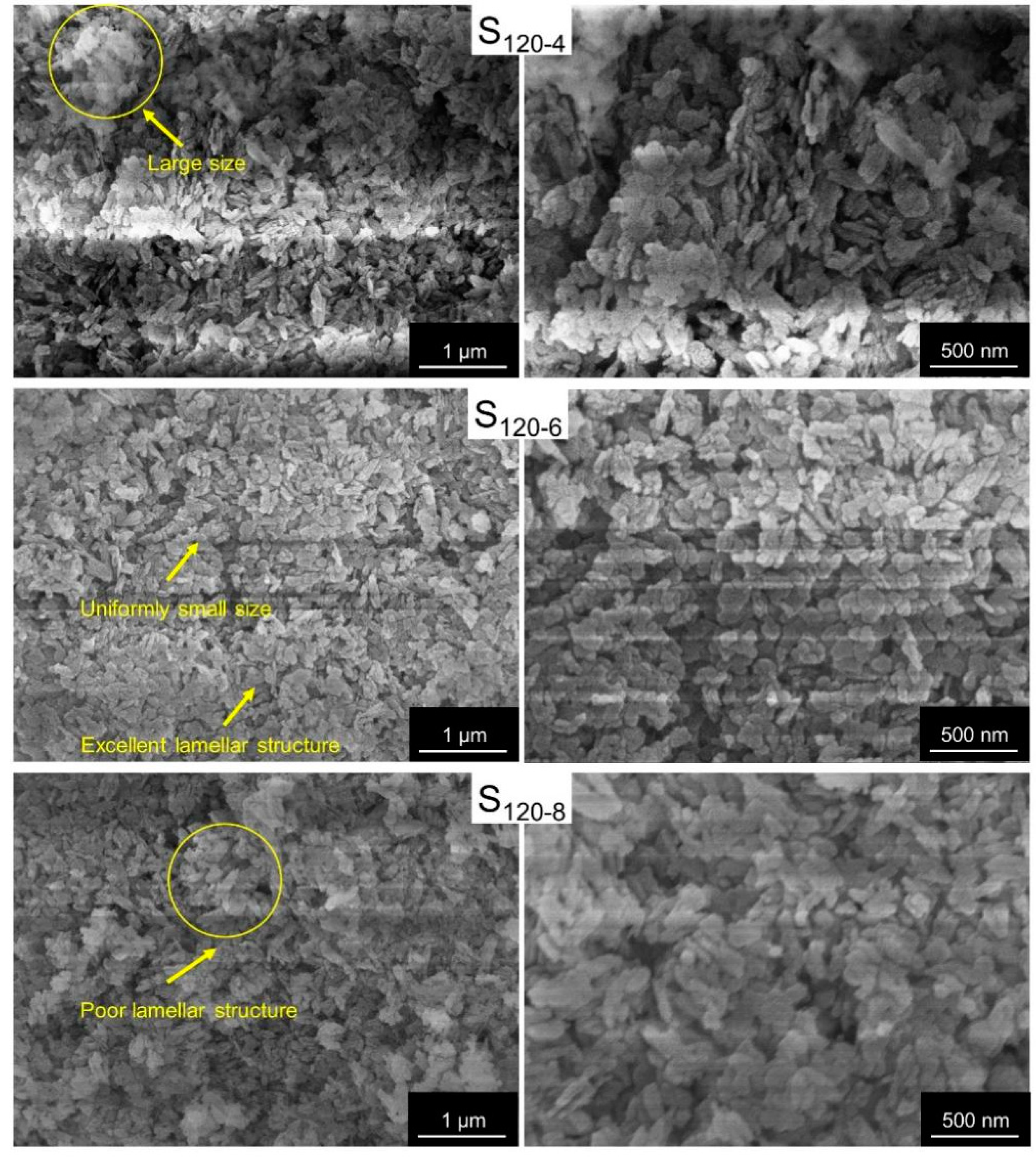 Molecules 28 04093 g008