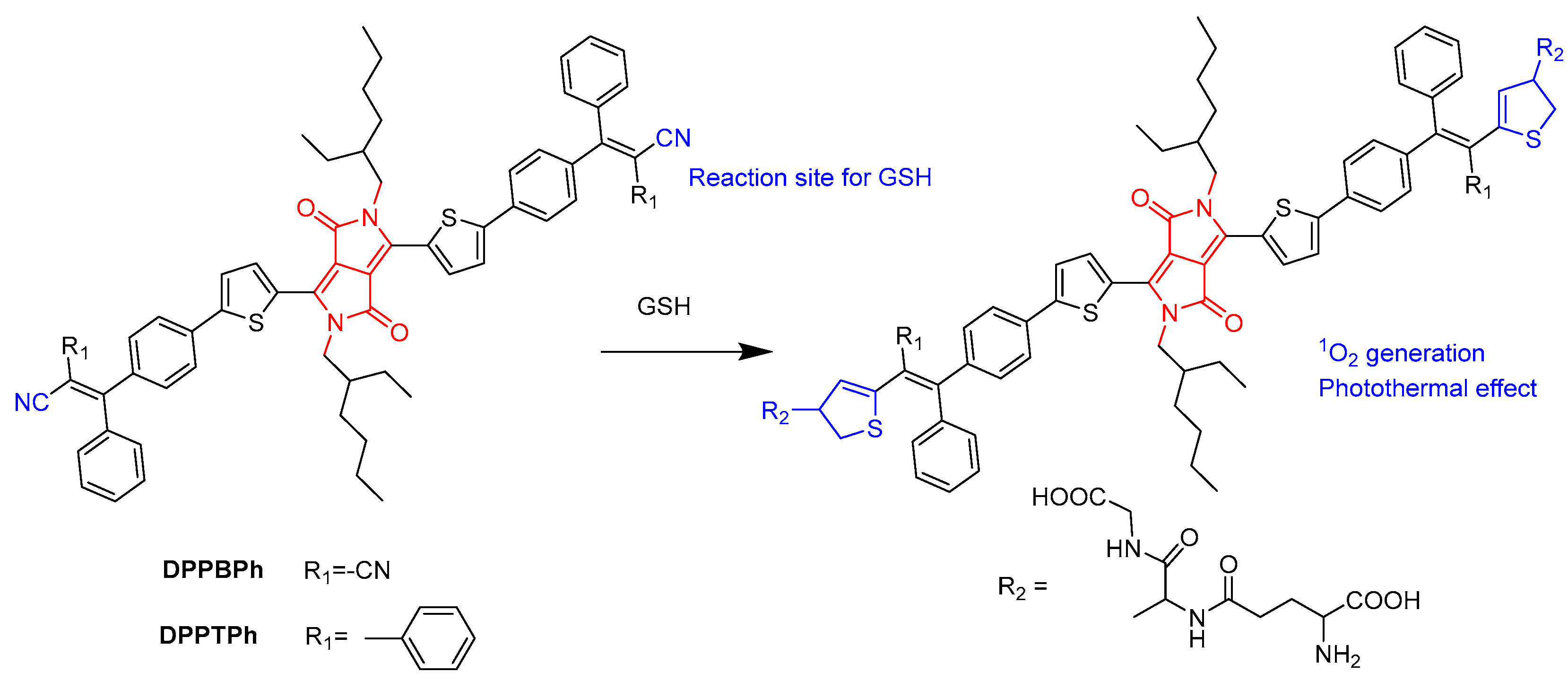 Molecules 28 04097 g006