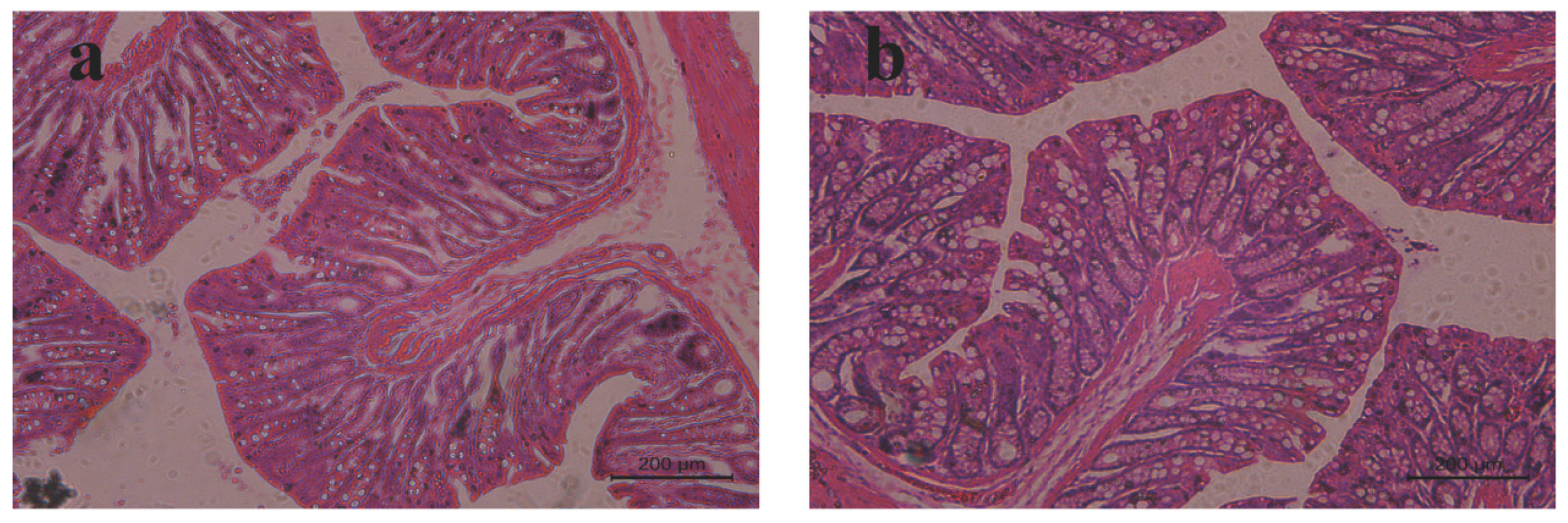 Molecules 28 04099 g010