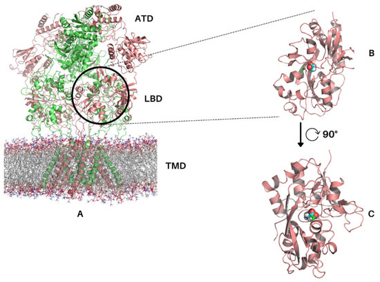 Molecules 28 04108 g001