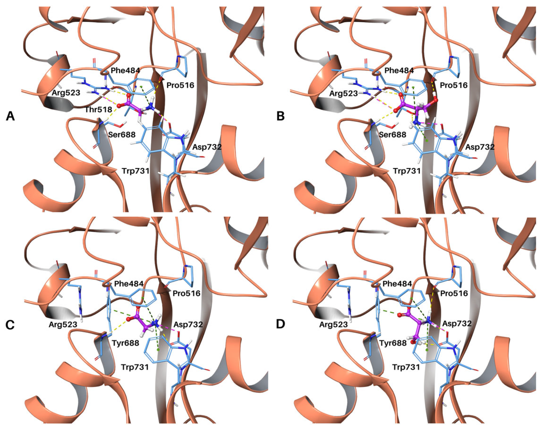 Molecules 28 04108 g003