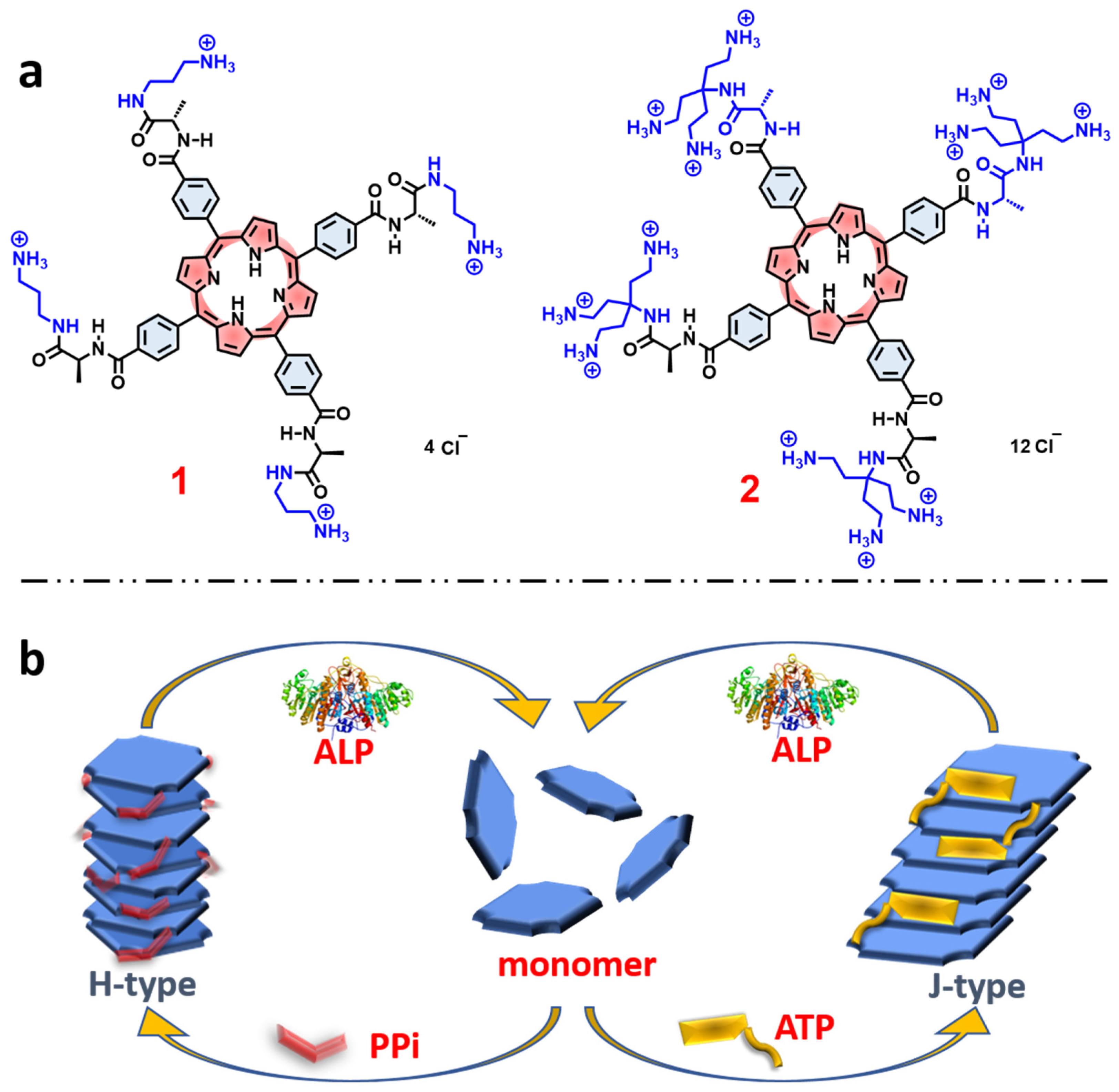Molecules 28 04115 g001