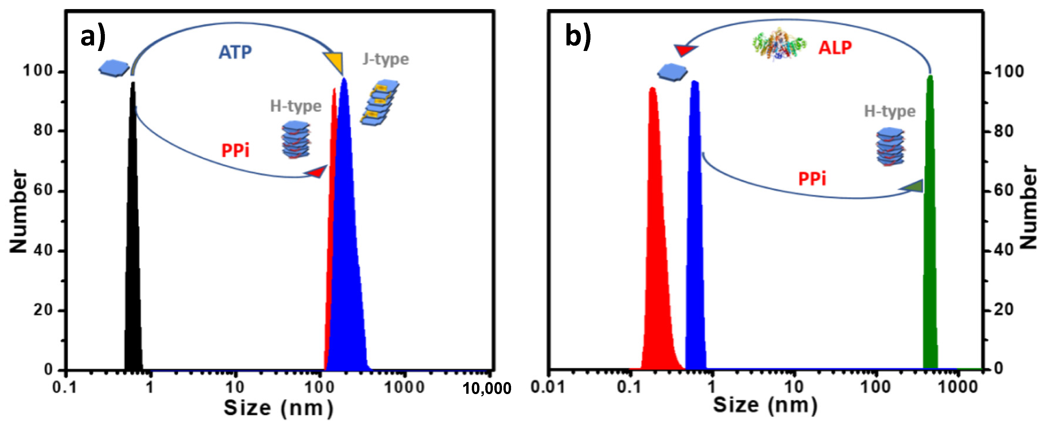 Molecules 28 04115 g005