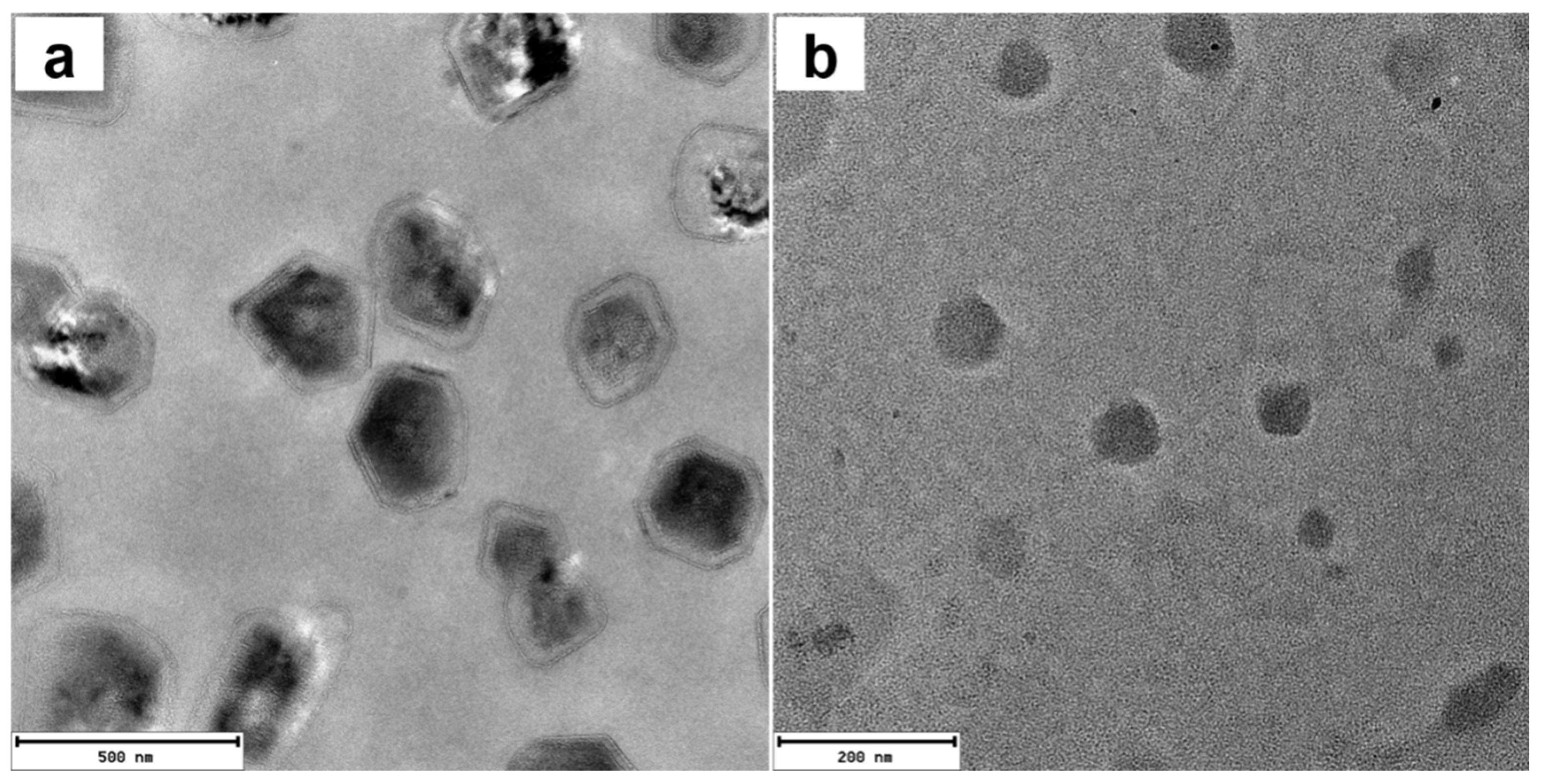 Molecules 28 04115 g006