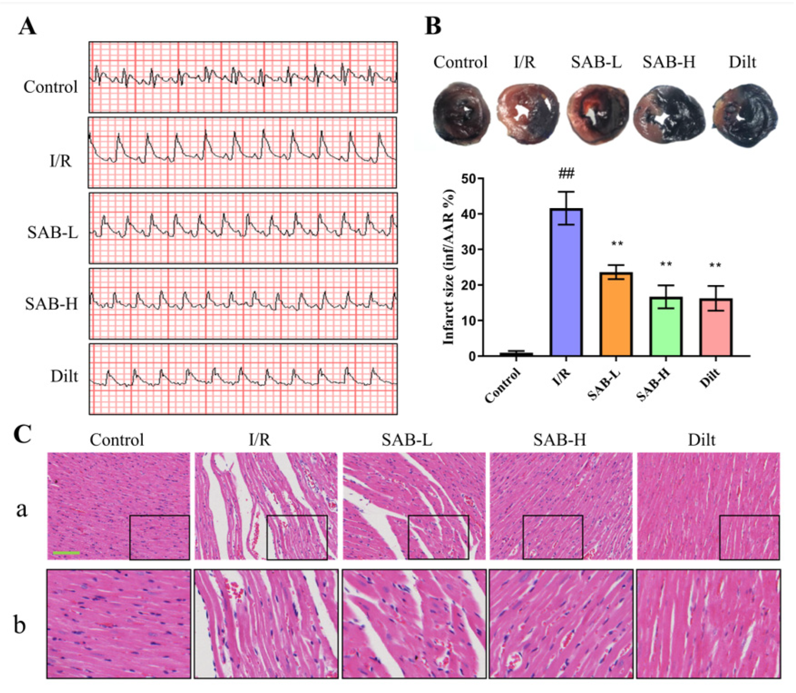 Molecules 28 04117 g002