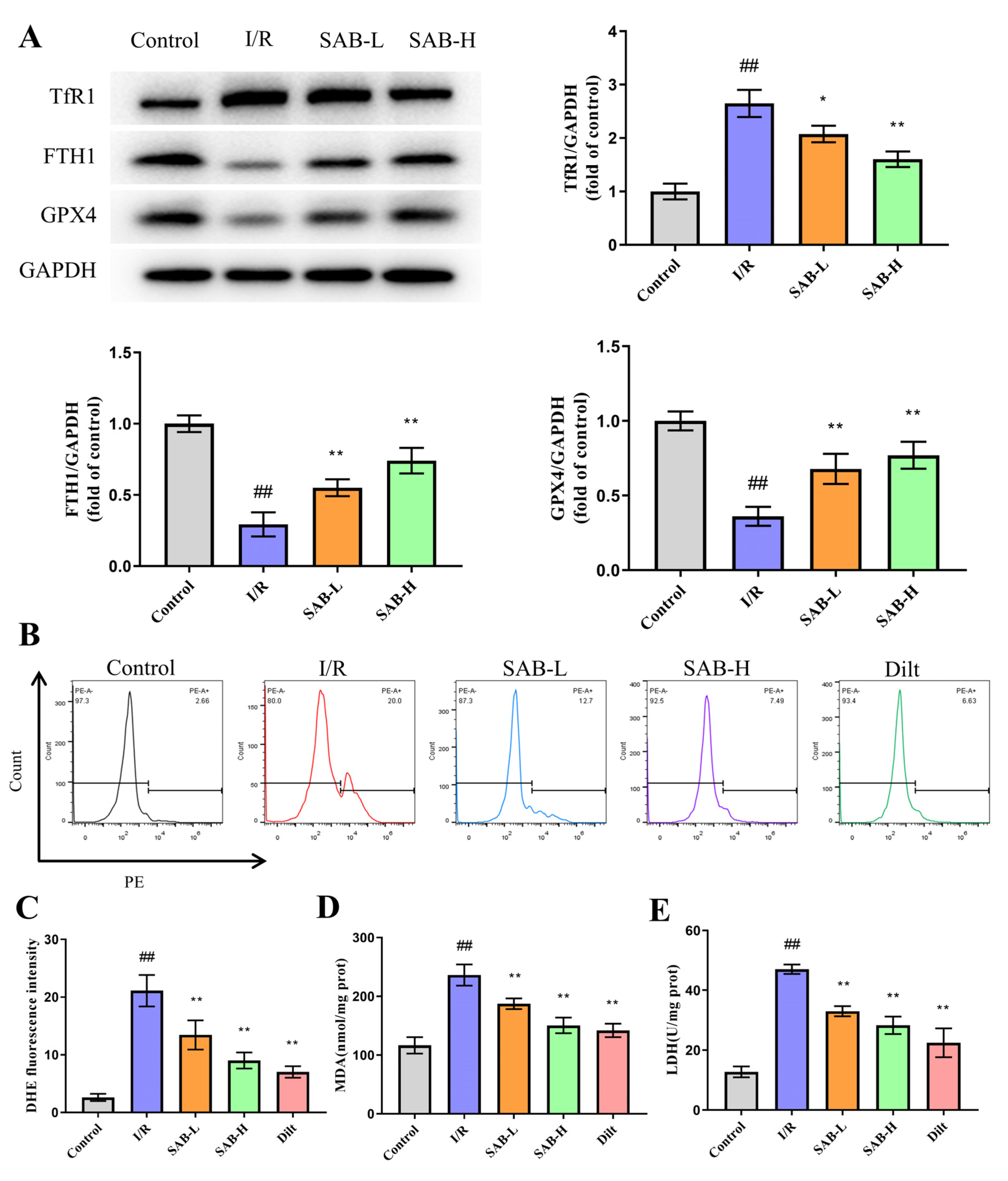 Molecules 28 04117 g003