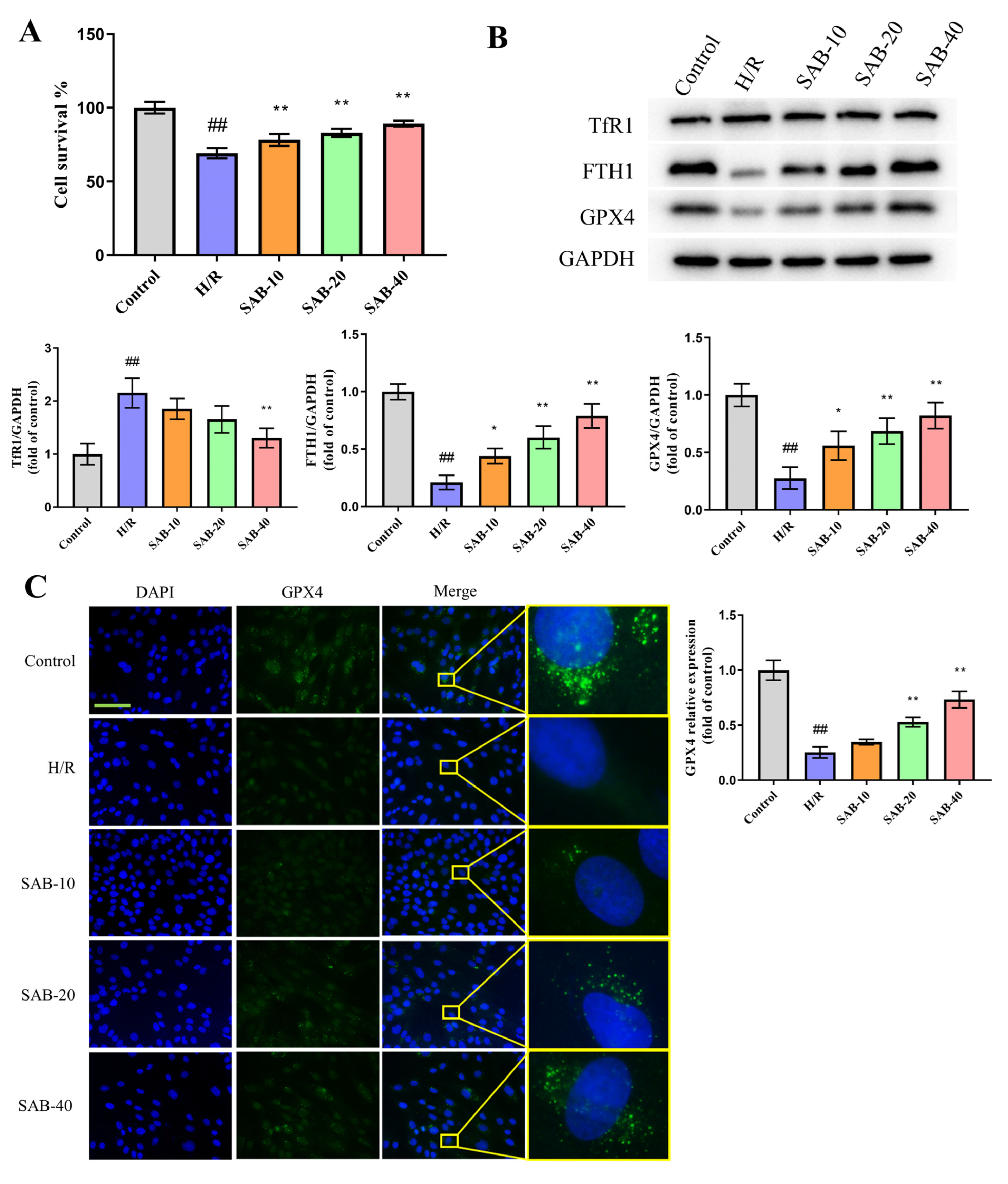 Molecules 28 04117 g005a