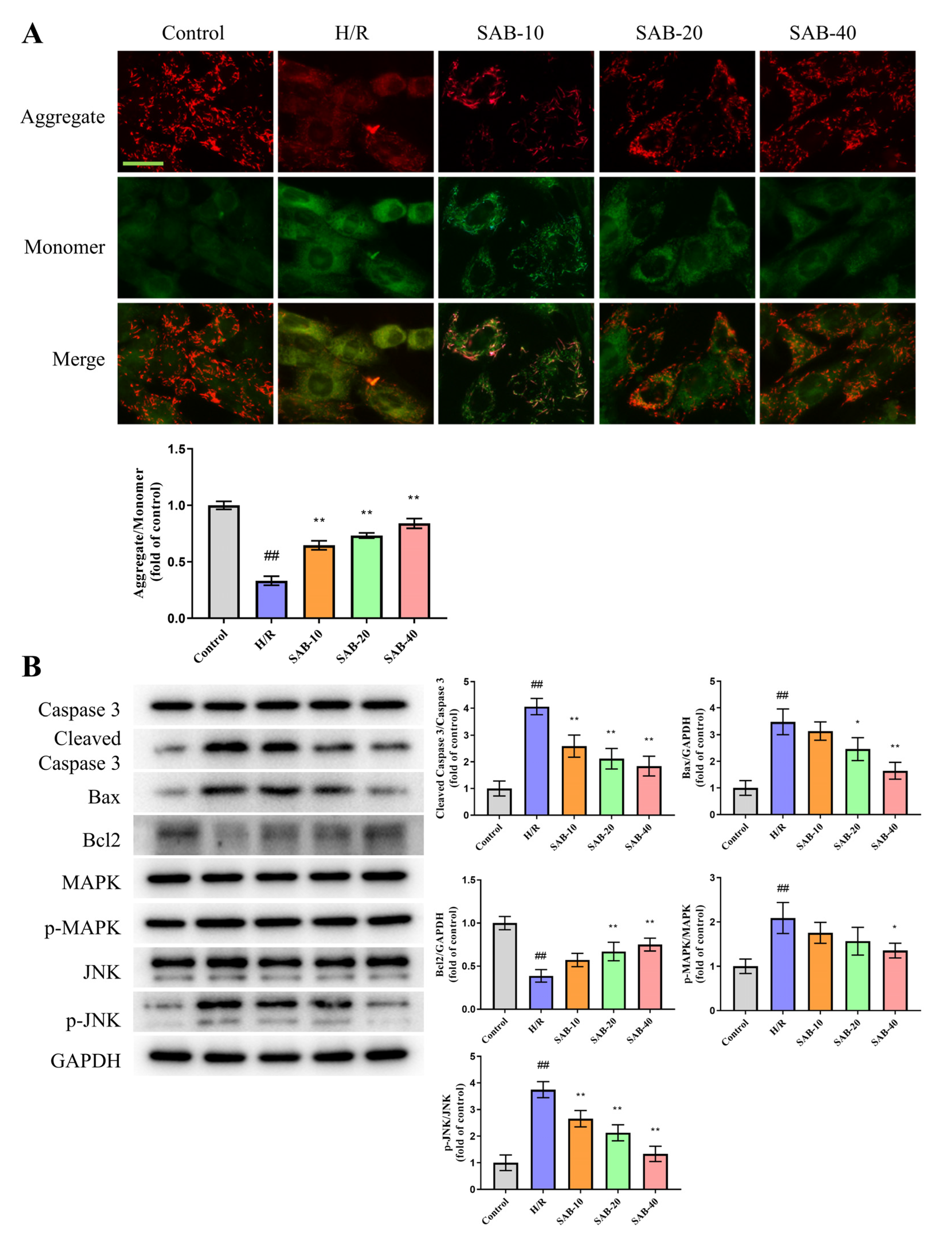 Molecules 28 04117 g006
