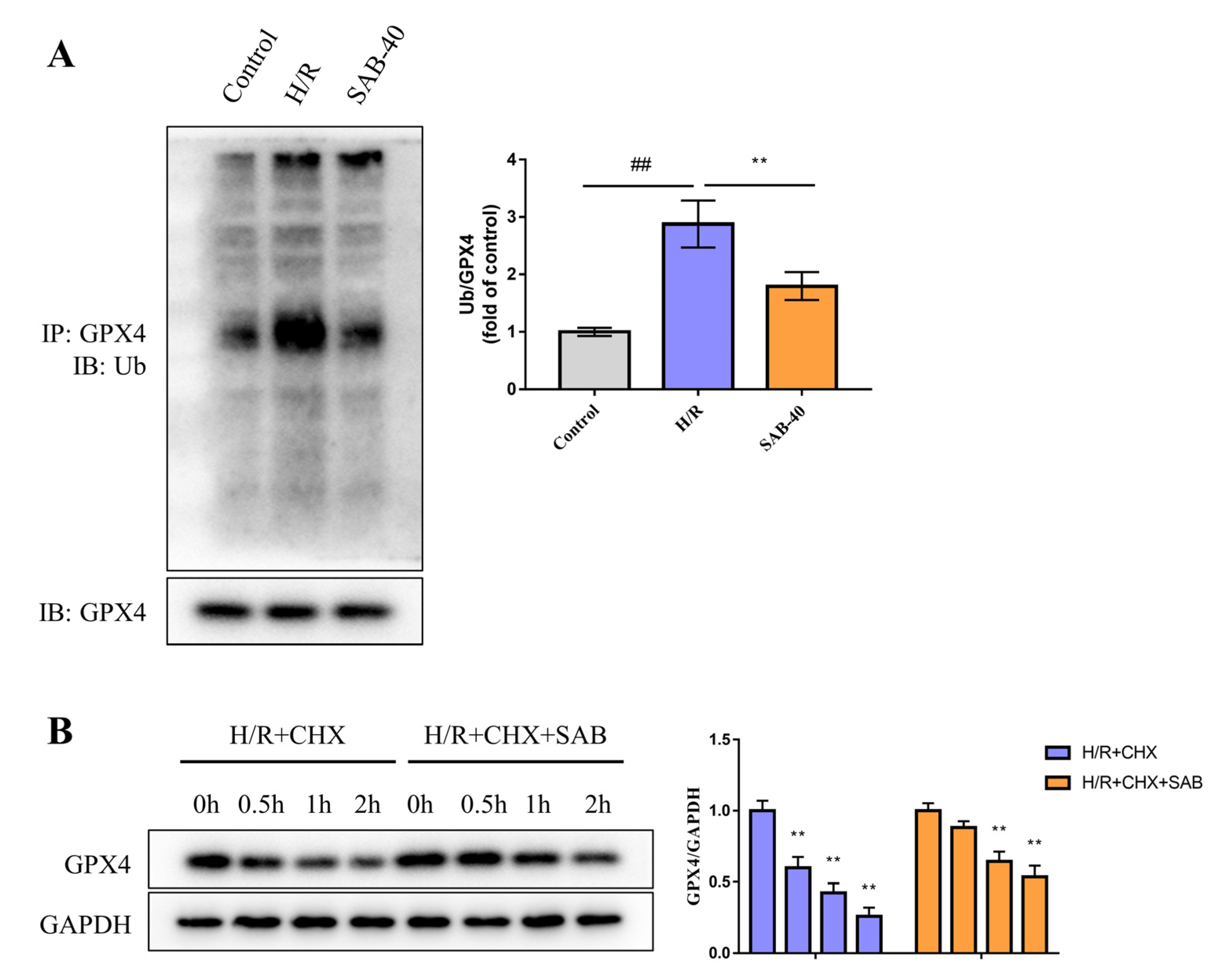 Molecules 28 04117 g007